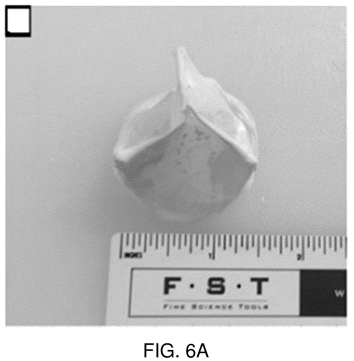 Patent US12508126 Figure 10 – Double component mandrel for electrospun stentless, multi-leaflet valve fabrication