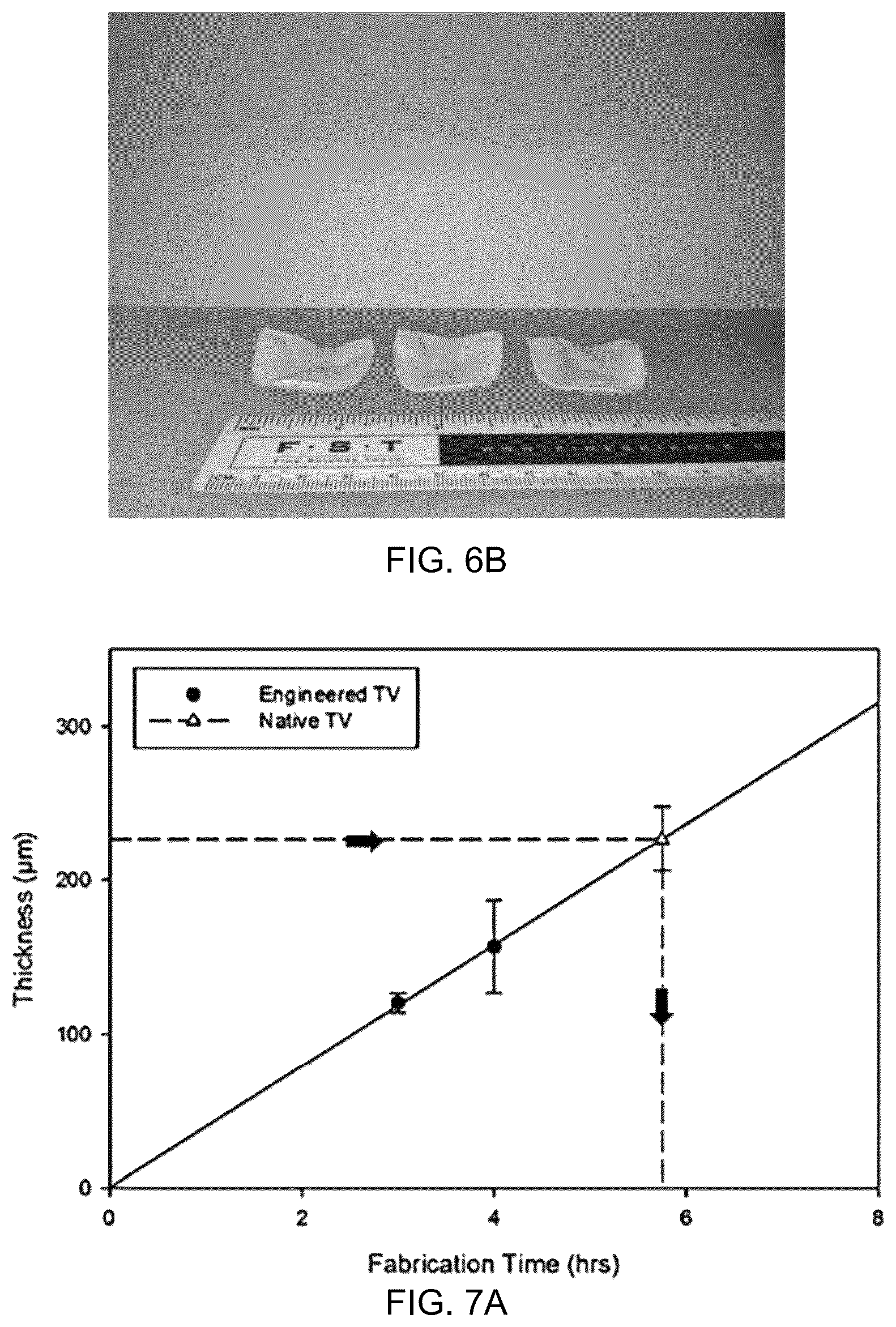 Patent US12508126 Figure 11 – Double component mandrel for electrospun stentless, multi-leaflet valve fabrication