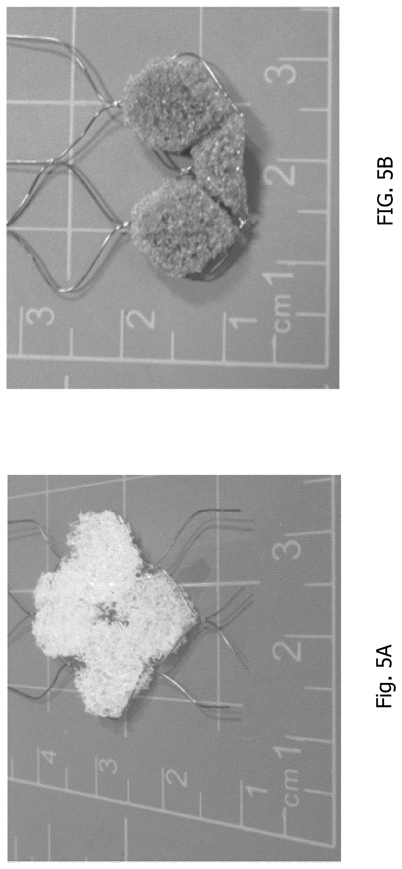 Patent US12508127 Figure 5 – Shape memory polymer foams to seal space around valves