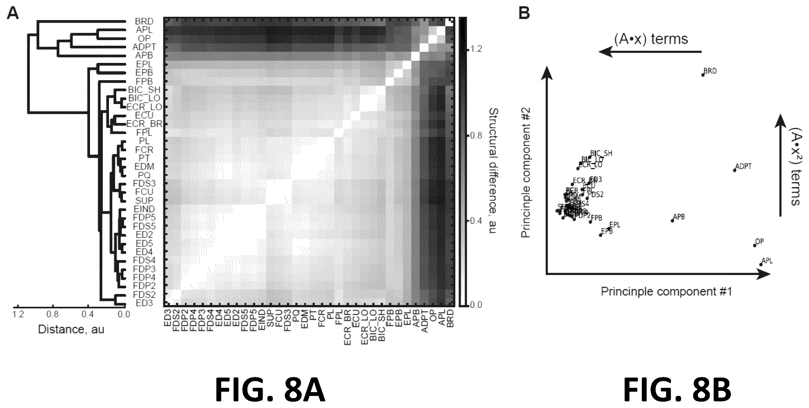 Patent US12508138 Figure 8 – Systems and methods for approximating musculoskeletal dynamics