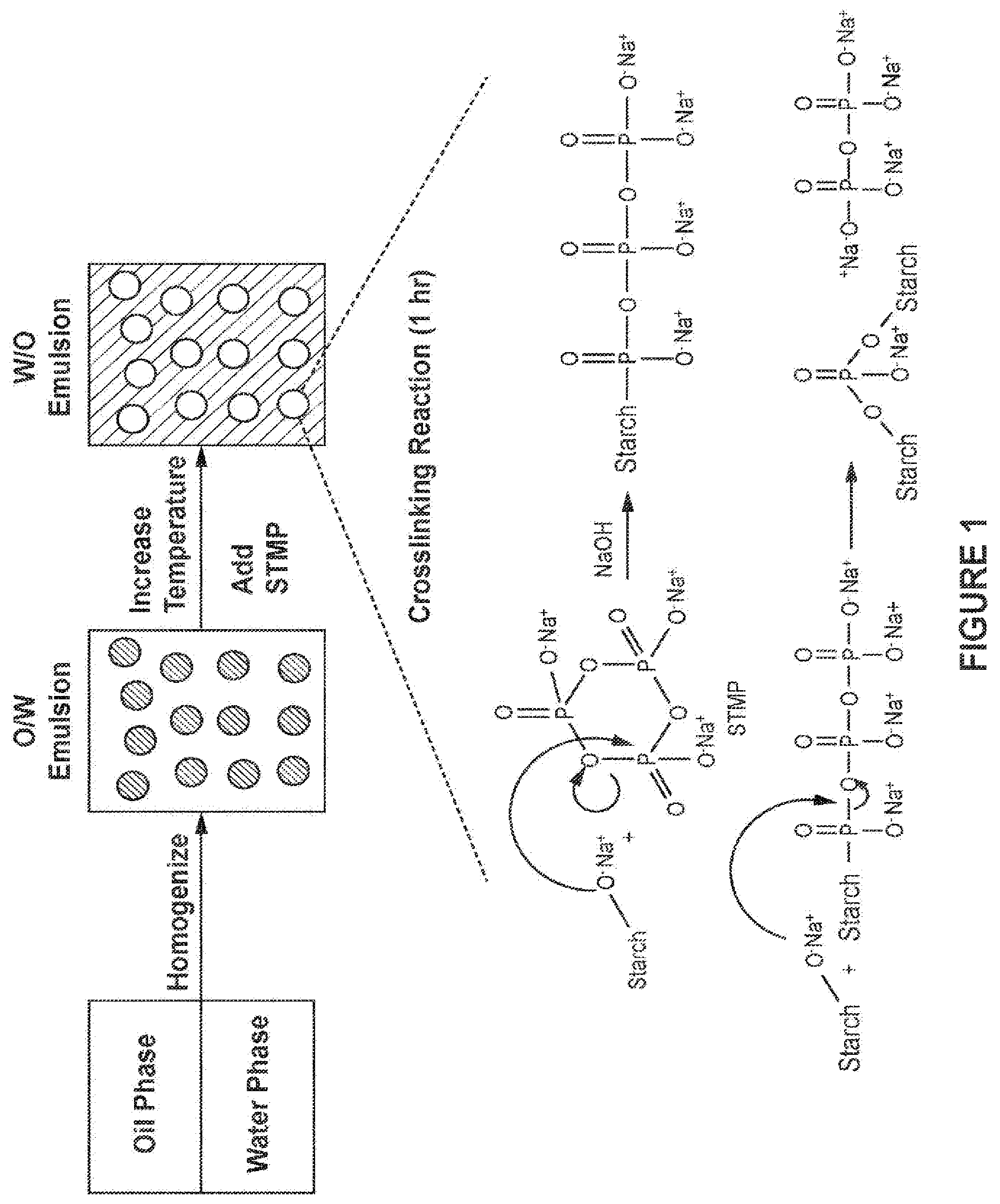 Patent US12508212 Figure 1 – Phosphate crosslinked starch nanoparticle and dental treatments