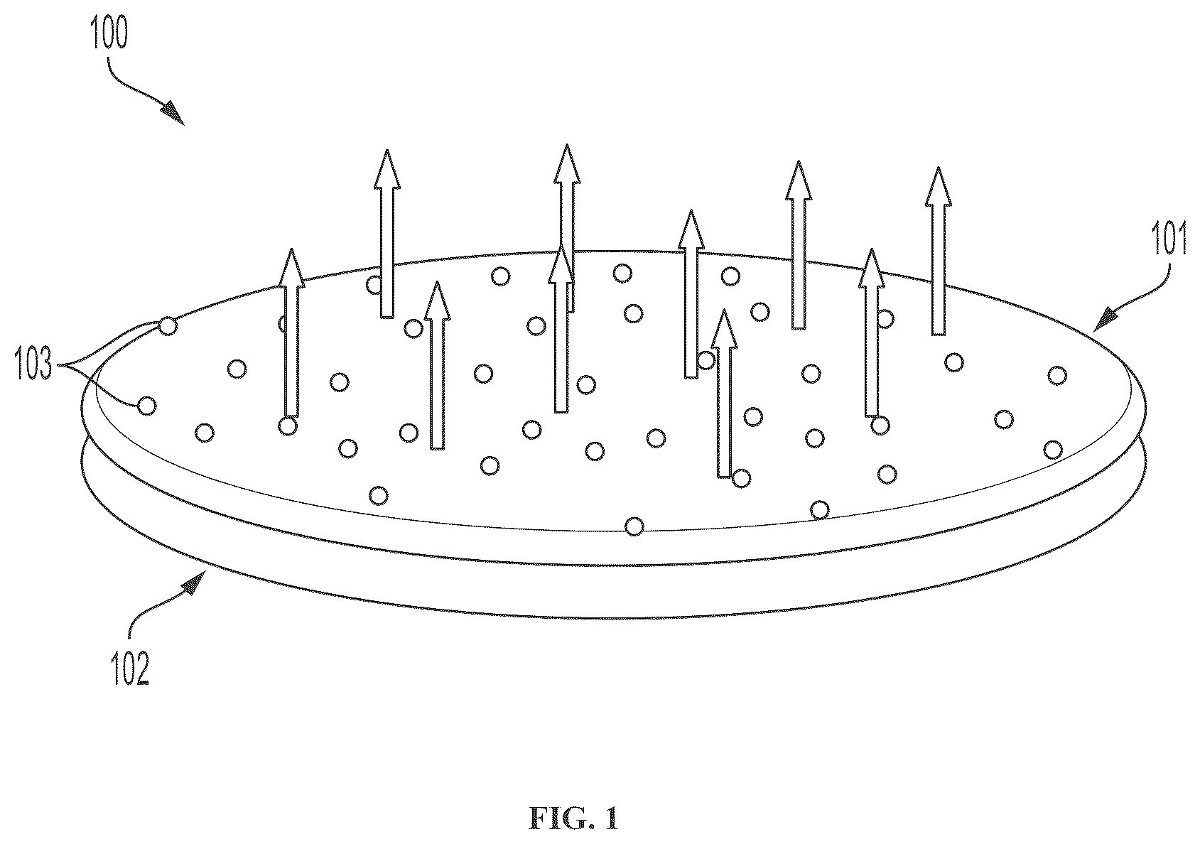 Patent US12508222 Figure 1 – Implantable and biodegradable drug delivery devices and methods of use thereof