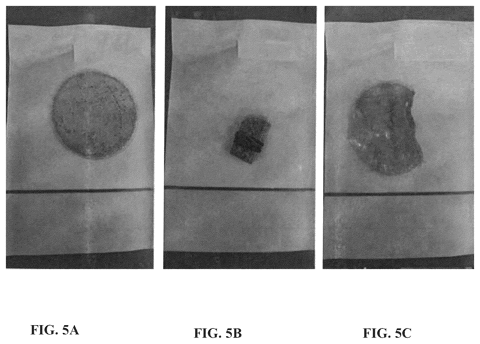 Patent US12508222 Figure 5 – Implantable and biodegradable drug delivery devices and methods of use thereof