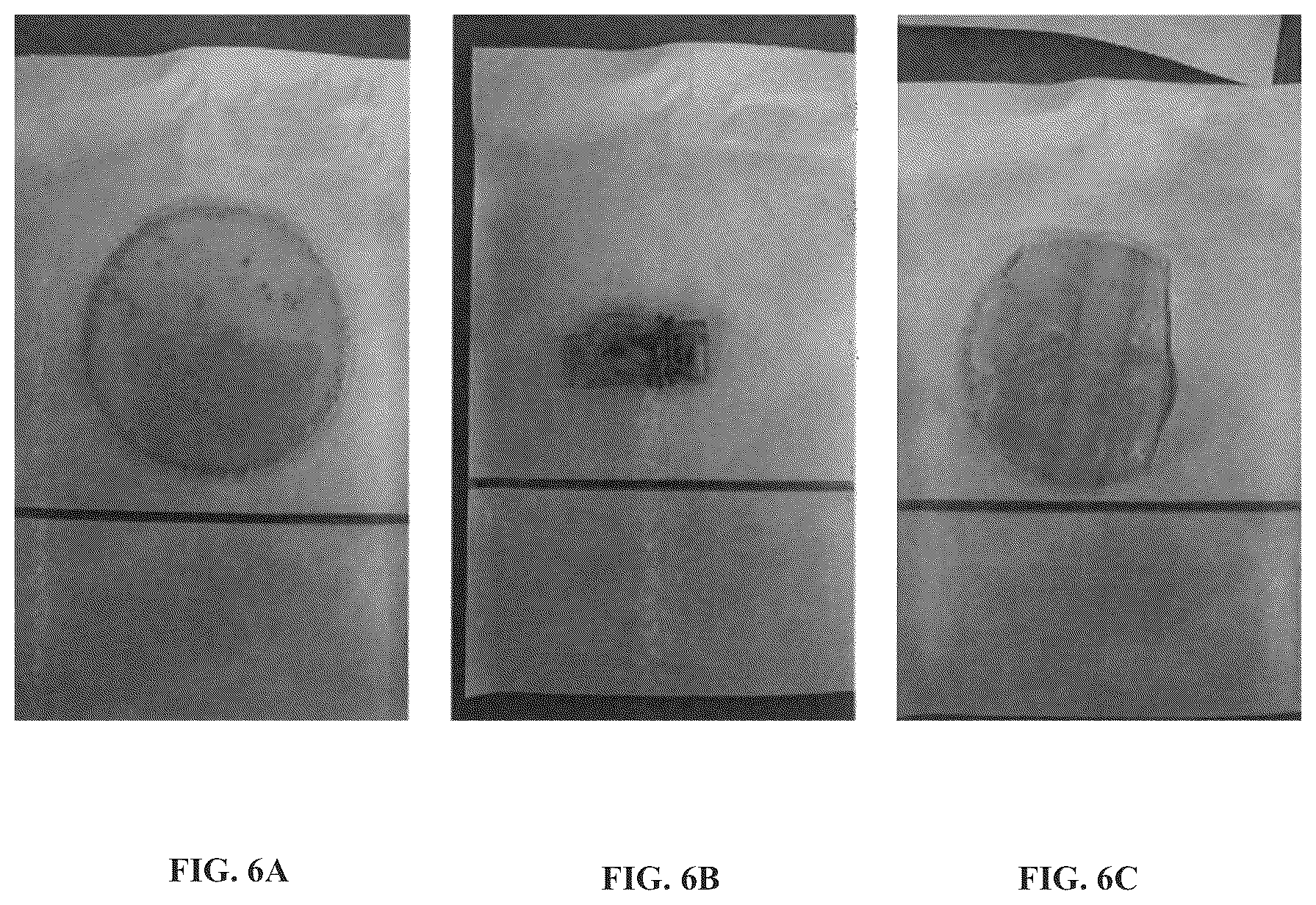 Patent US12508222 Figure 6 – Implantable and biodegradable drug delivery devices and methods of use thereof