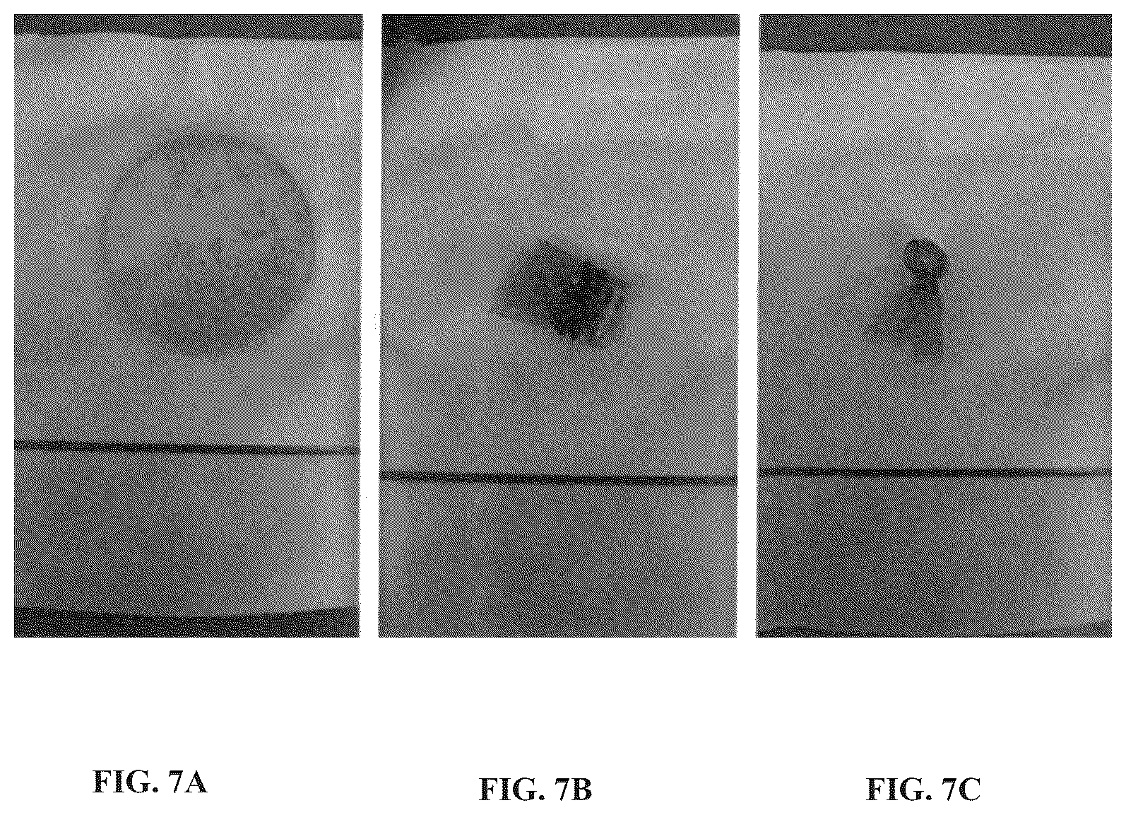 Patent US12508222 Figure 7 – Implantable and biodegradable drug delivery devices and methods of use thereof