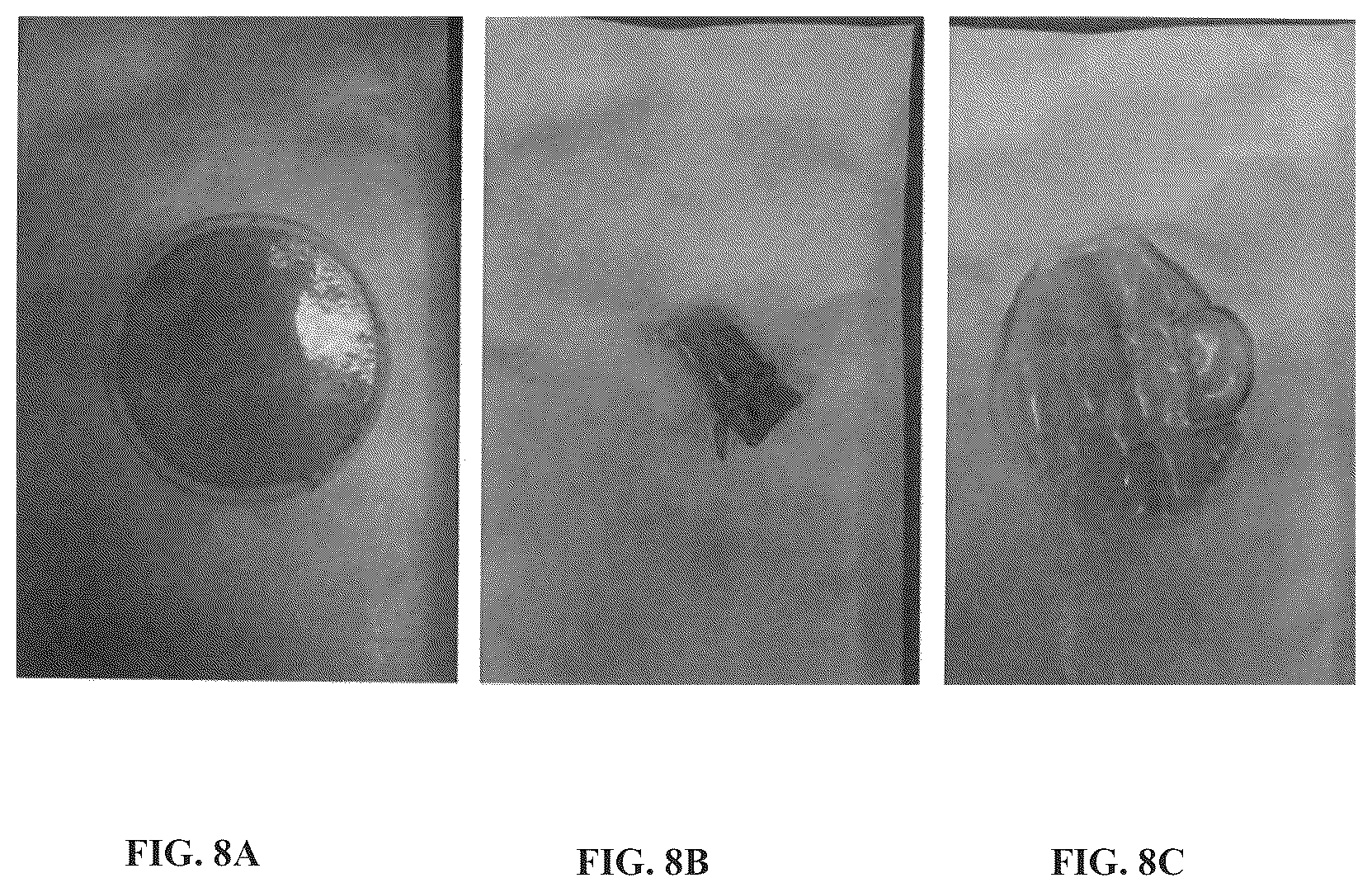 Patent US12508222 Figure 8 – Implantable and biodegradable drug delivery devices and methods of use thereof