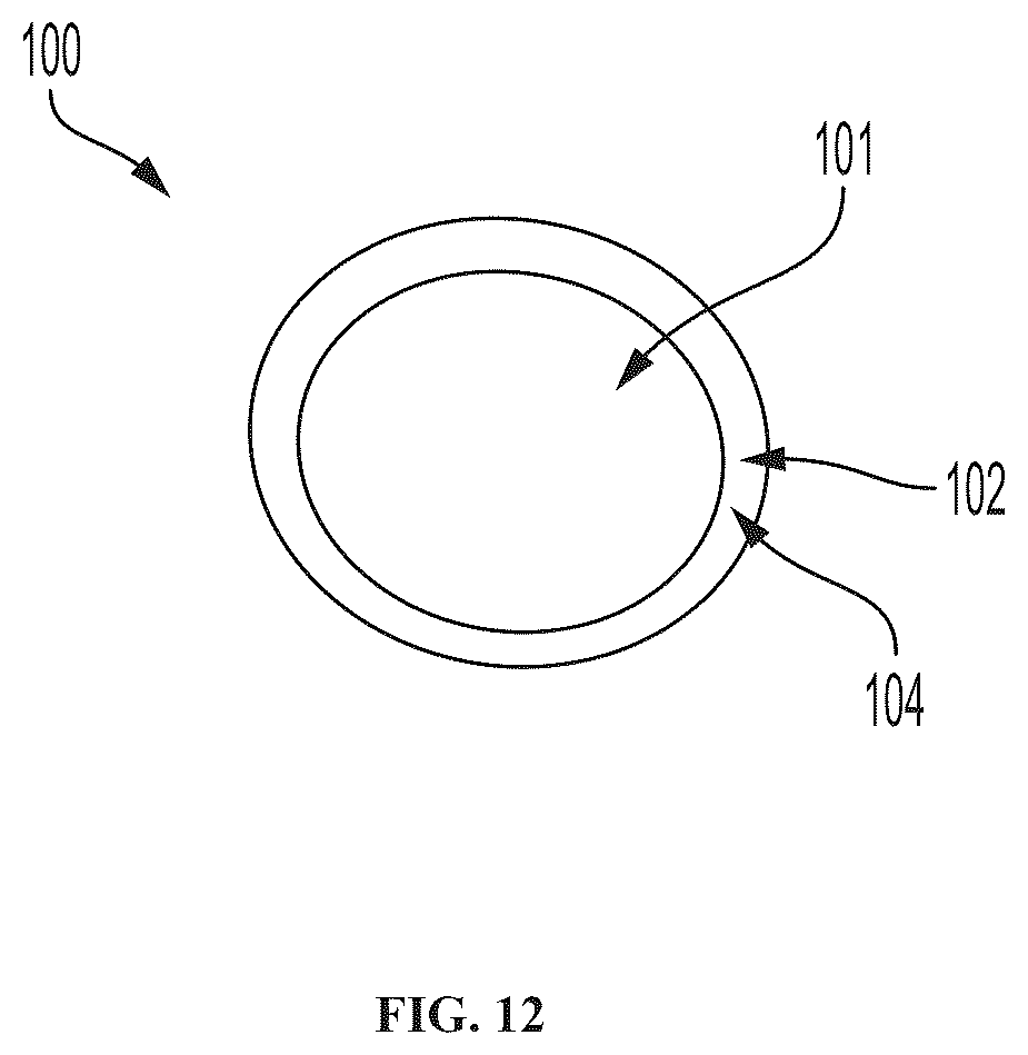 Patent US12508222 Figure 12 – Implantable and biodegradable drug delivery devices and methods of use thereof