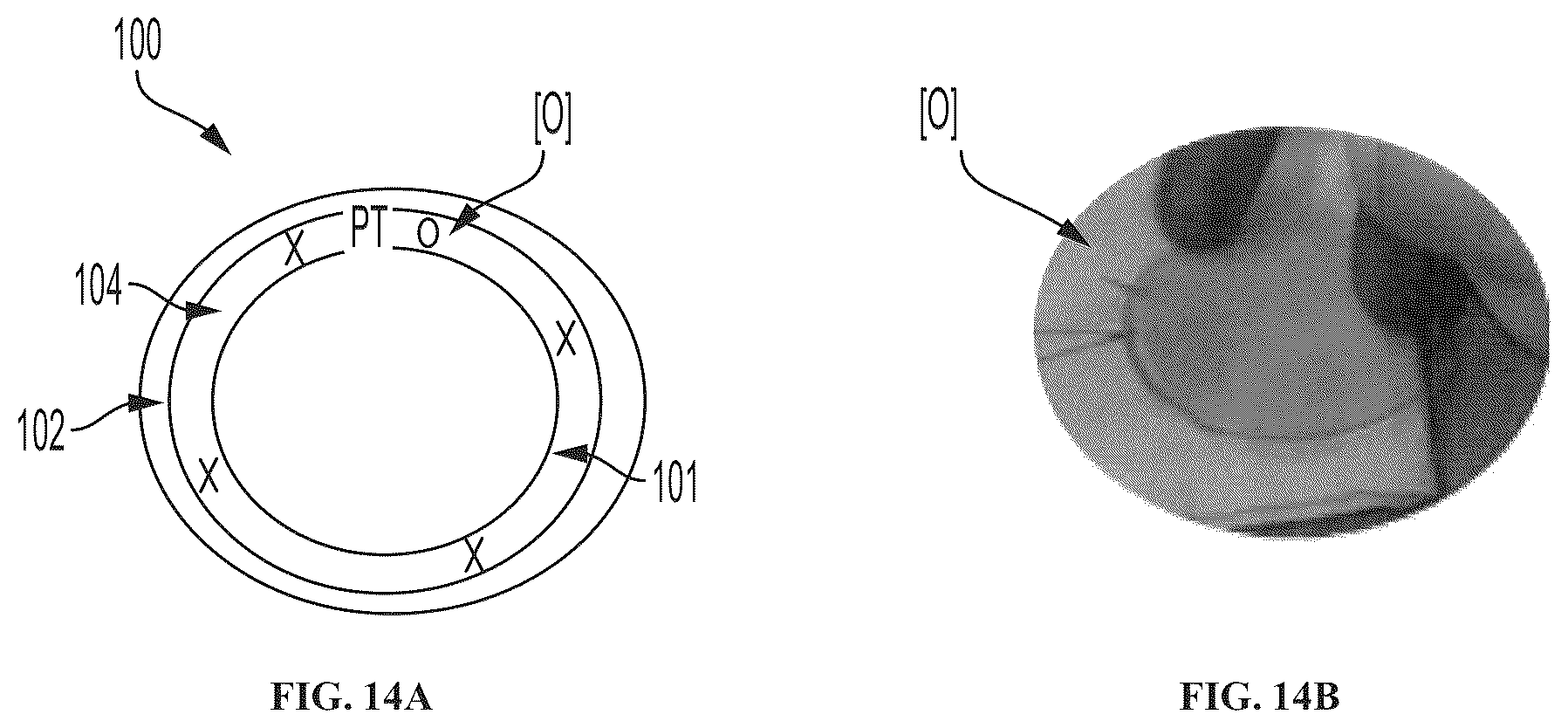 Patent US12508222 Figure 14 – Implantable and biodegradable drug delivery devices and methods of use thereof