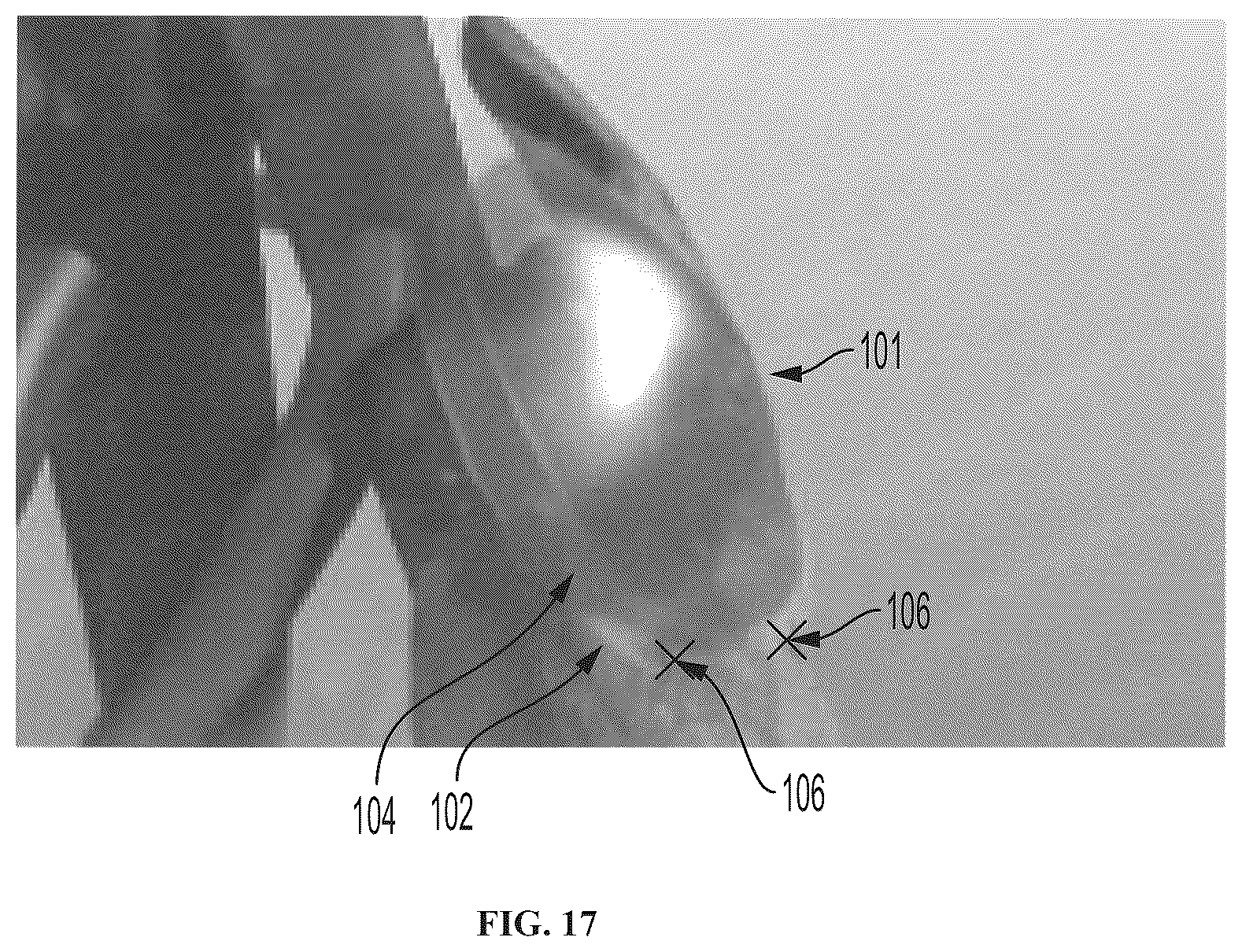Patent US12508222 Figure 18 – Implantable and biodegradable drug delivery devices and methods of use thereof