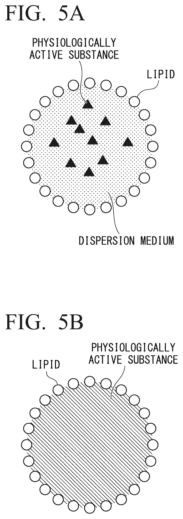 Patent US12508223 Figure 3 – Particle containing lipid nanoparticles and method for producing same