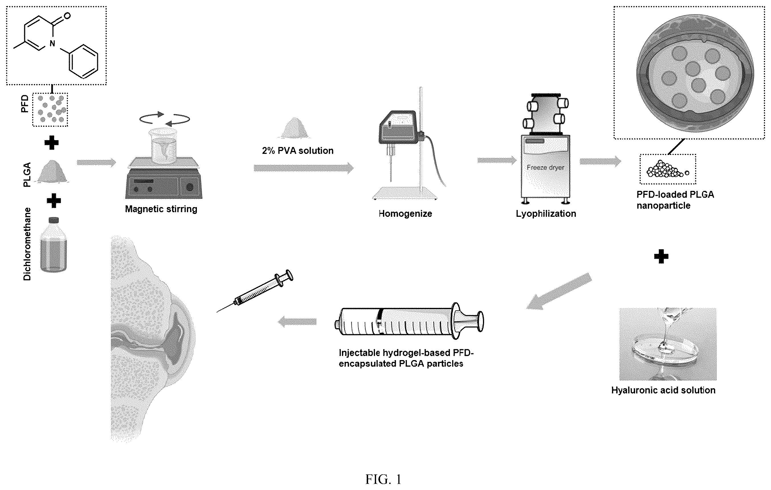Patent US12508228 Figure 1 – PFD loaded microspheres and method for preparing injectable composite microsphere hydrogel solution from same