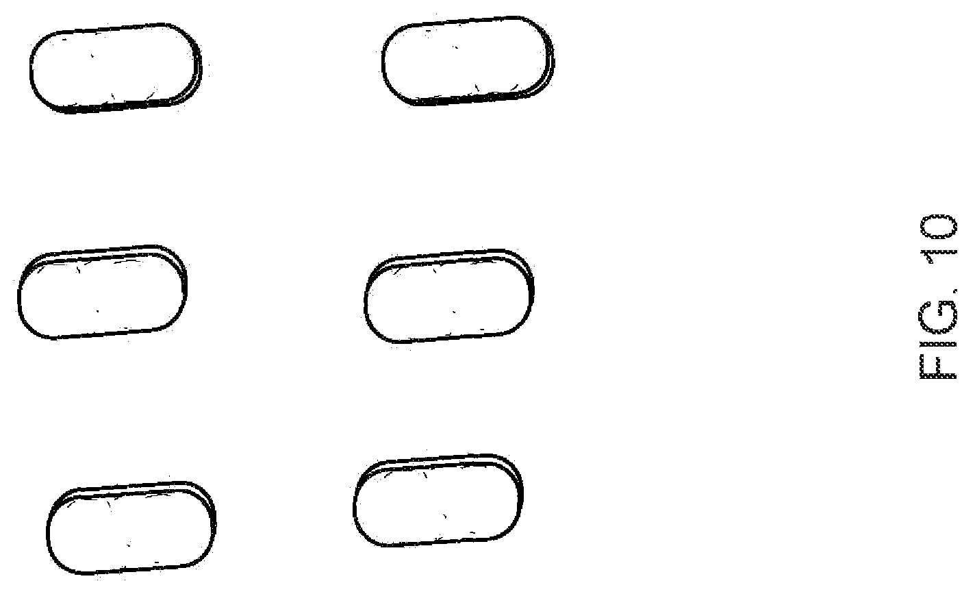 Patent US12508230 Figure 10 – Additive composition for formulation capable of stabilizing pore of solid particles and method for production thereof