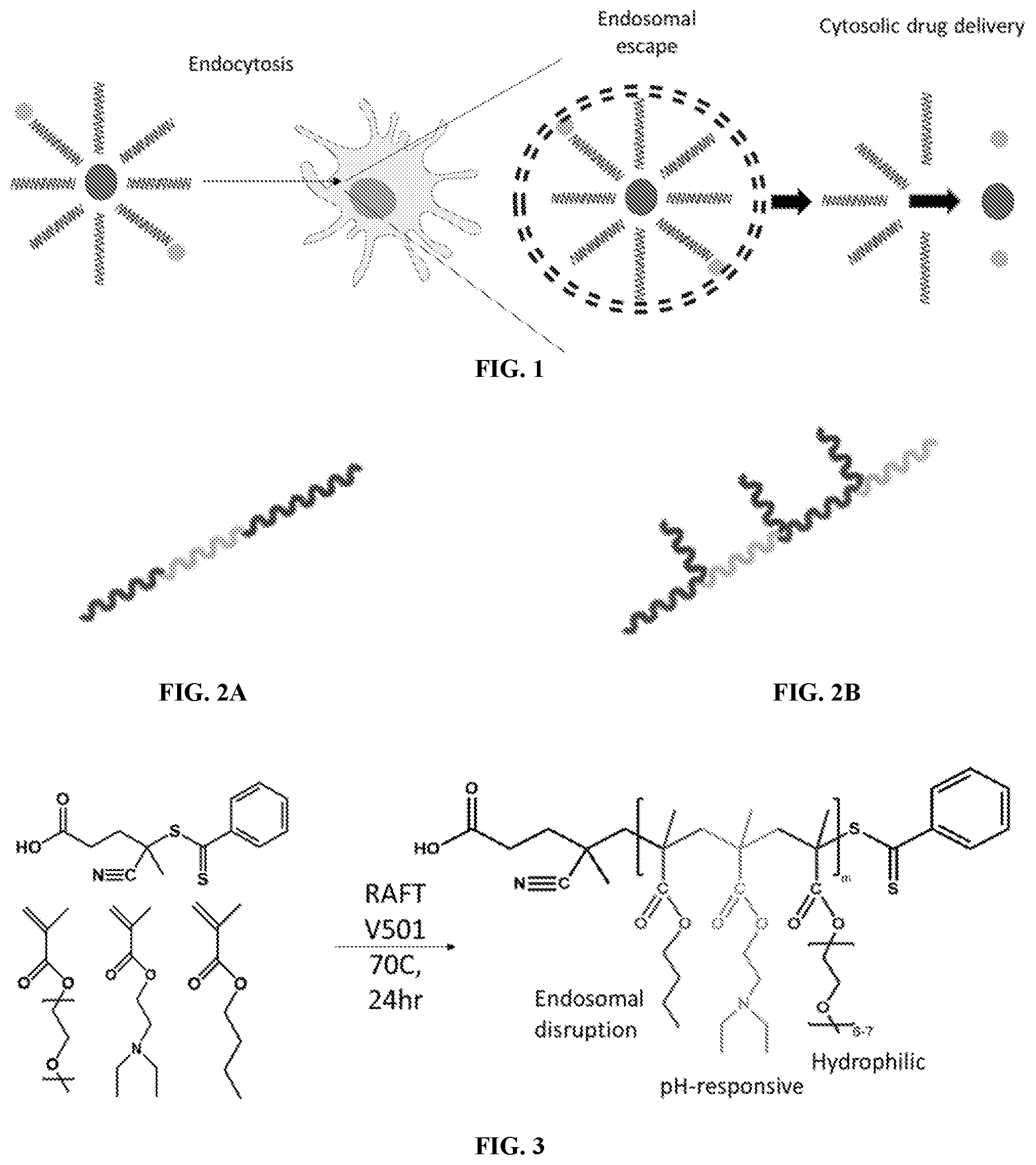 Patent US12508233 Figure 1 – Graft copolymers, methods of forming graft copolymers, and methods of use thereof