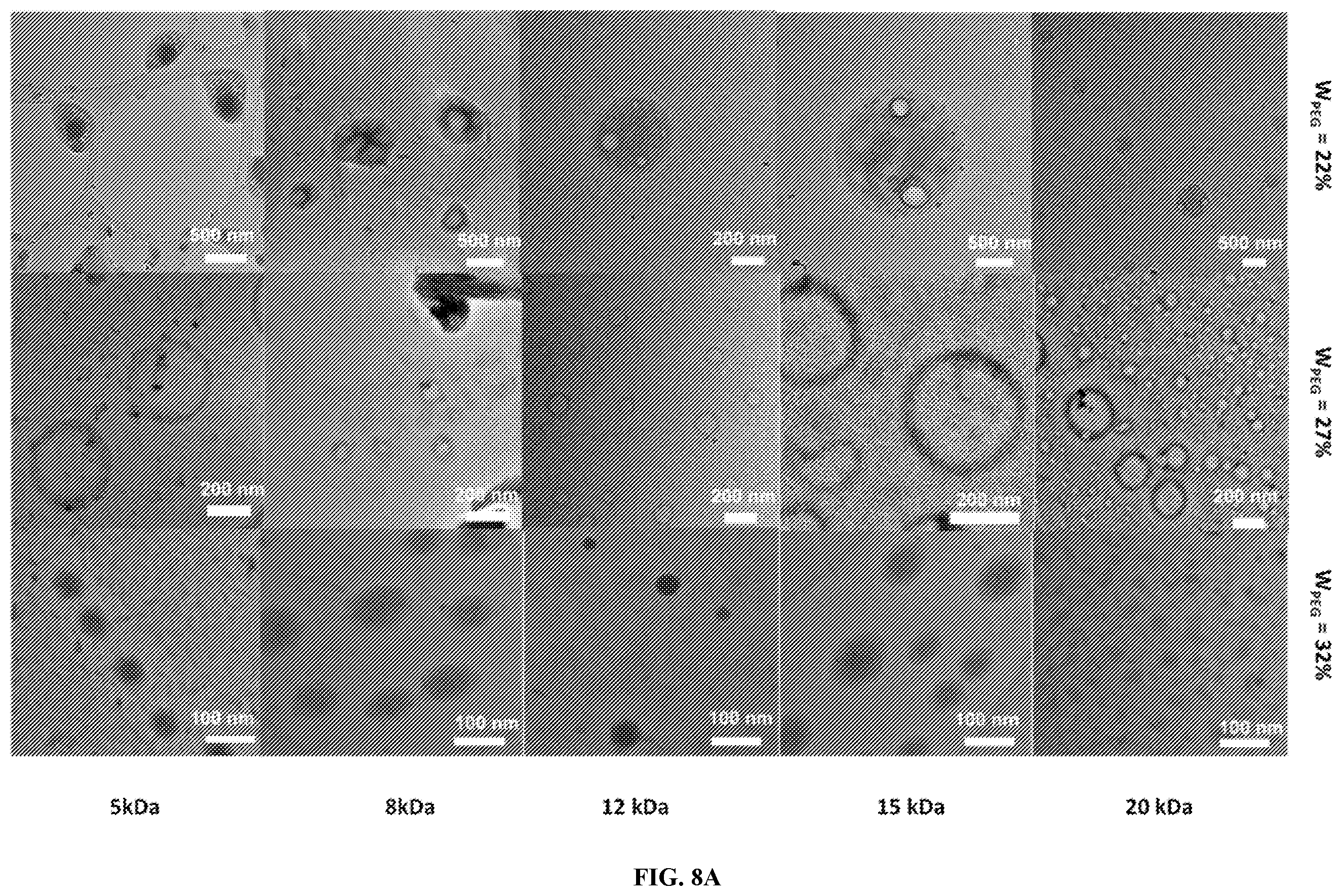 Patent US12508233 Figure 6 – Graft copolymers, methods of forming graft copolymers, and methods of use thereof