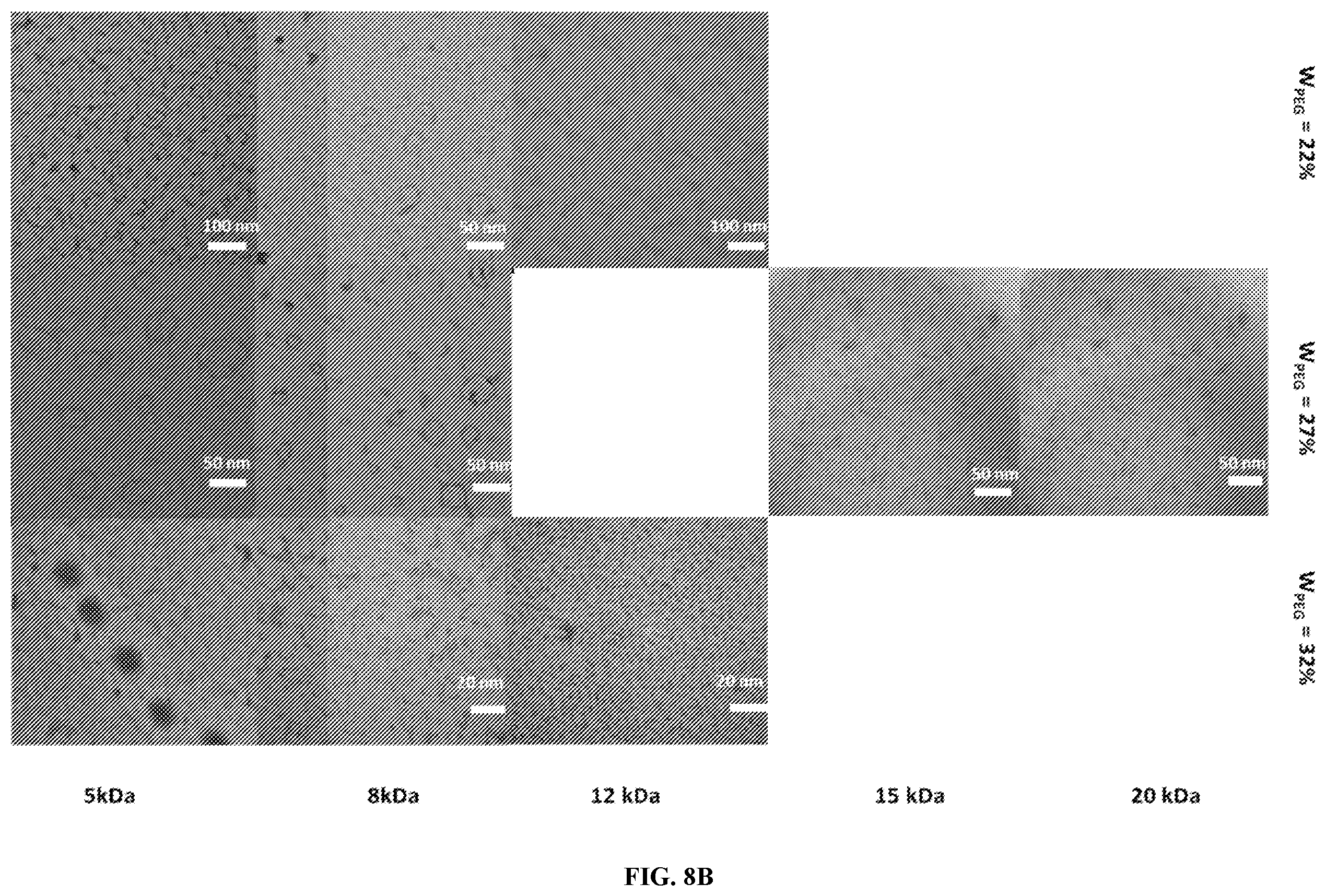 Patent US12508233 Figure 7 – Graft copolymers, methods of forming graft copolymers, and methods of use thereof