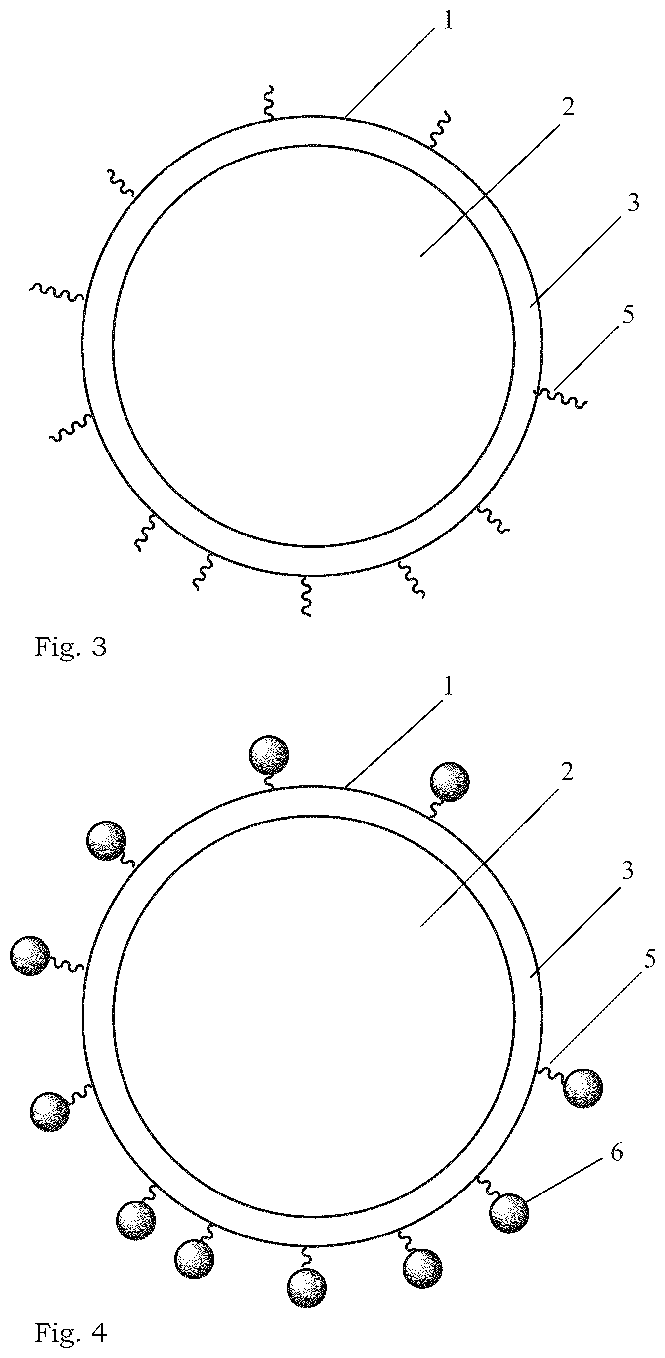 Patent US12508236 Figure 2 – Solid nanoparticle with inorganic coating