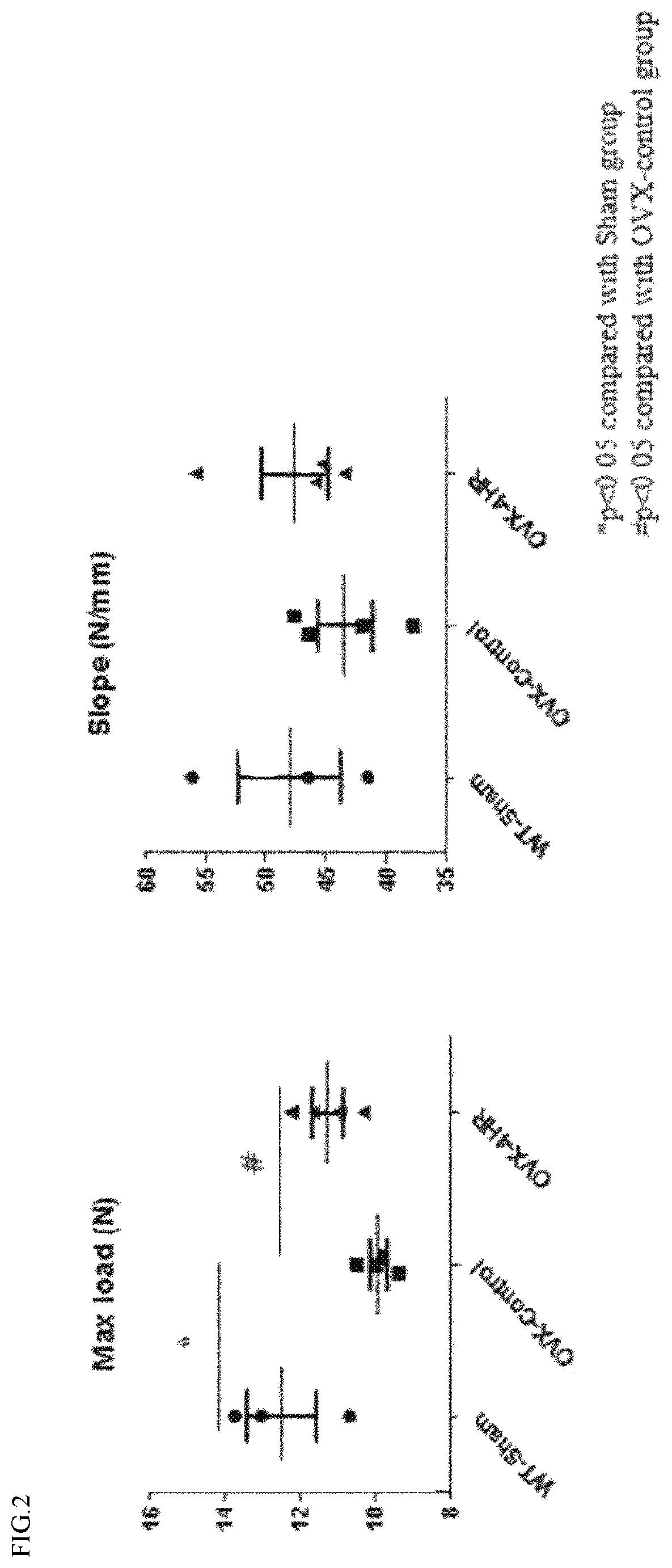 Patent US12508237 Figure 2 – Pharmaceutical composition comprising 4-hexylresorcinol as active ingredient for prevention or treatment of bone disease