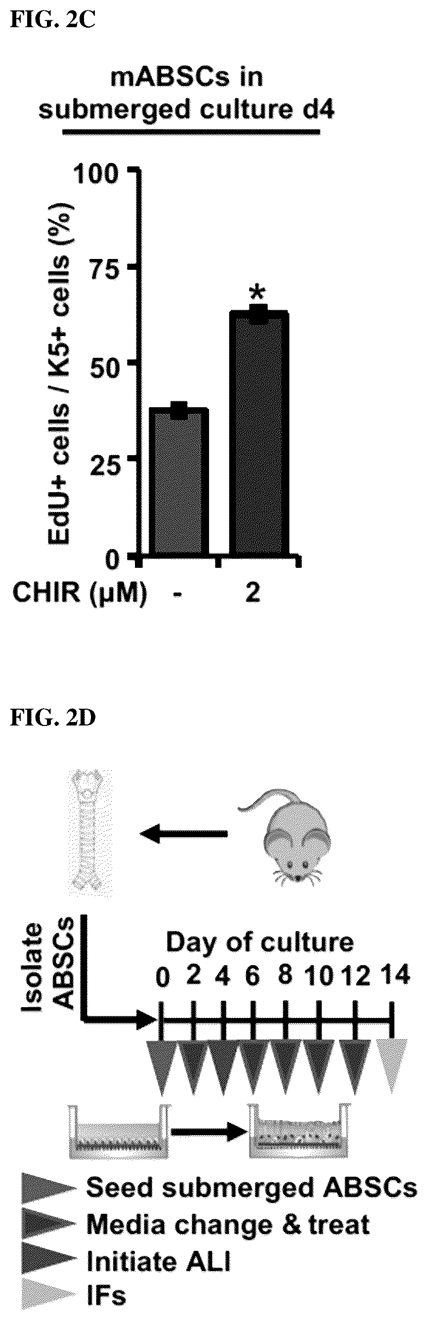 Patent US12508243 Figure 11 – Compositions and methods for treating cancer and improving epithelial homeostasis