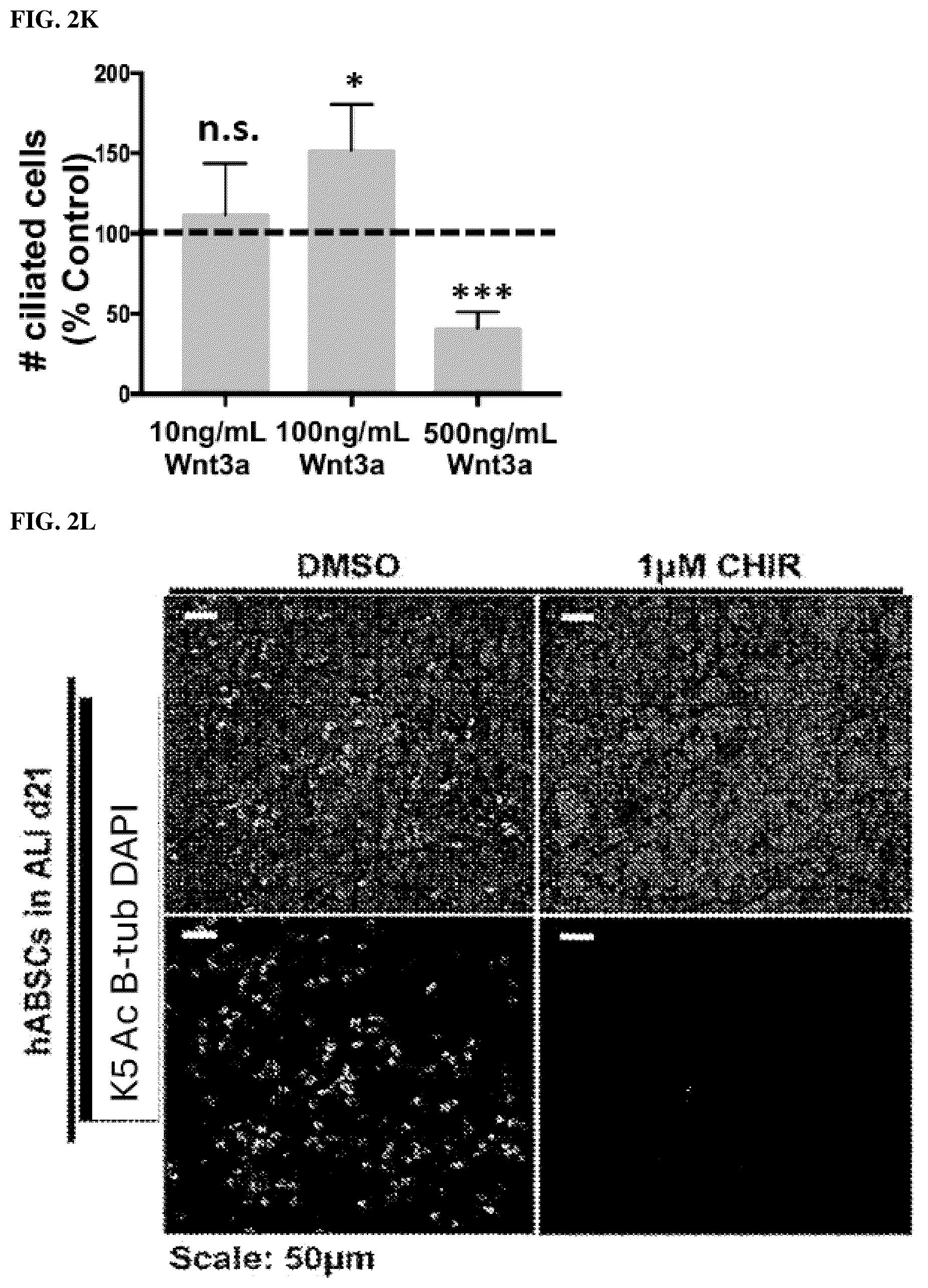Patent US12508243 Figure 16 – Compositions and methods for treating cancer and improving epithelial homeostasis