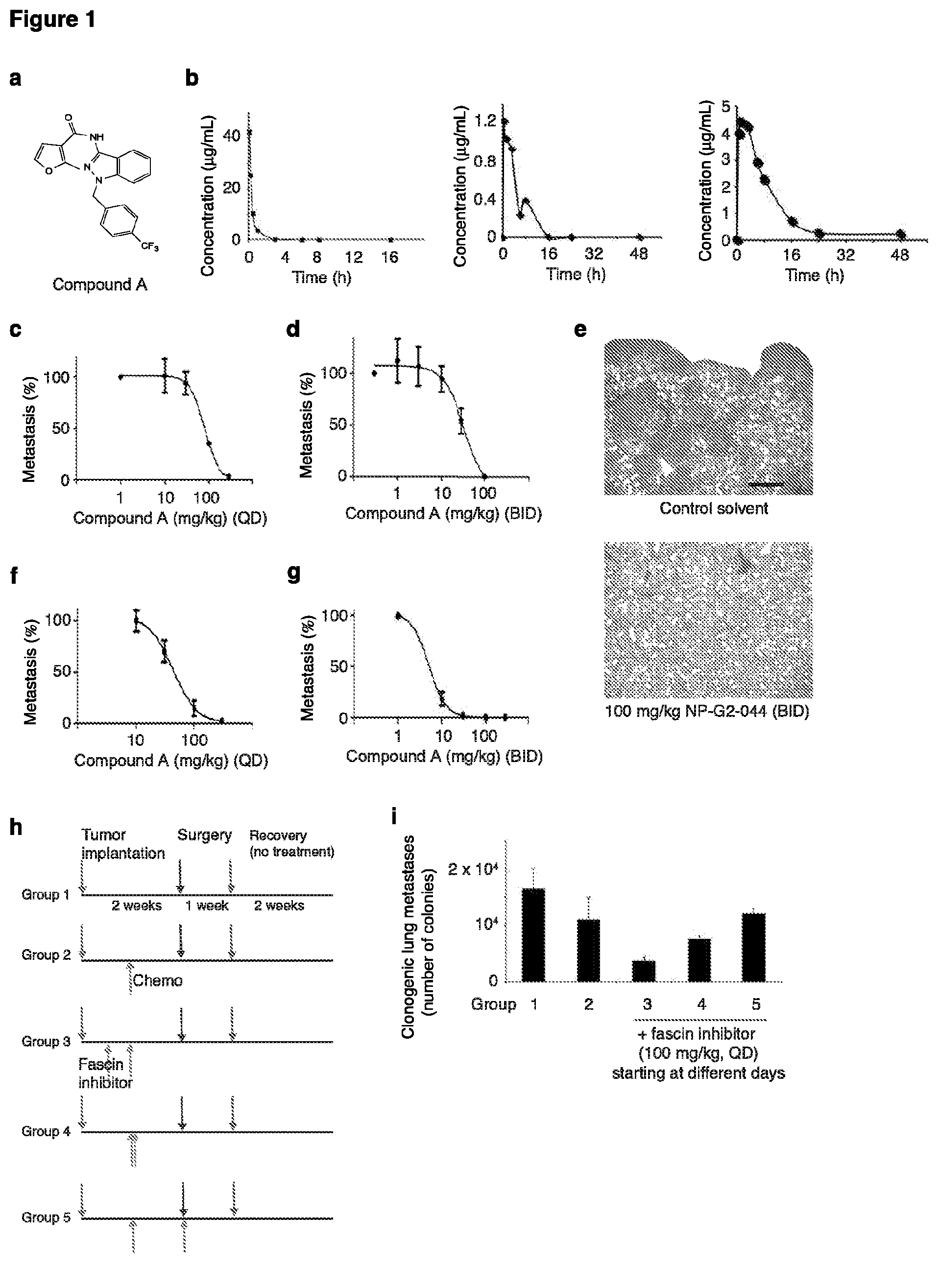 Patent US12508245 Figure 1 – Co-therapies including a metastasis inhibitor