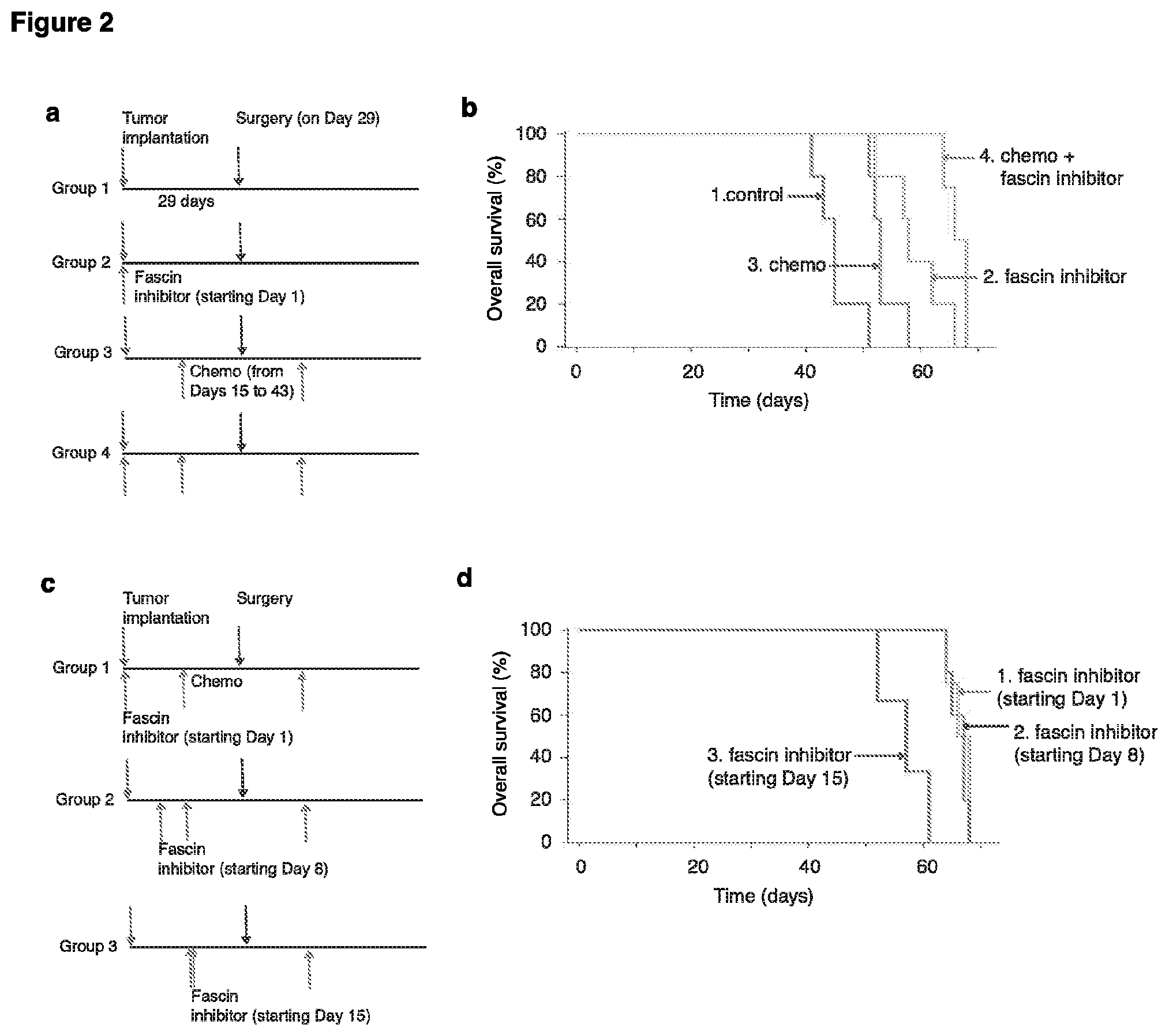 Patent US12508245 Figure 2 – Co-therapies including a metastasis inhibitor