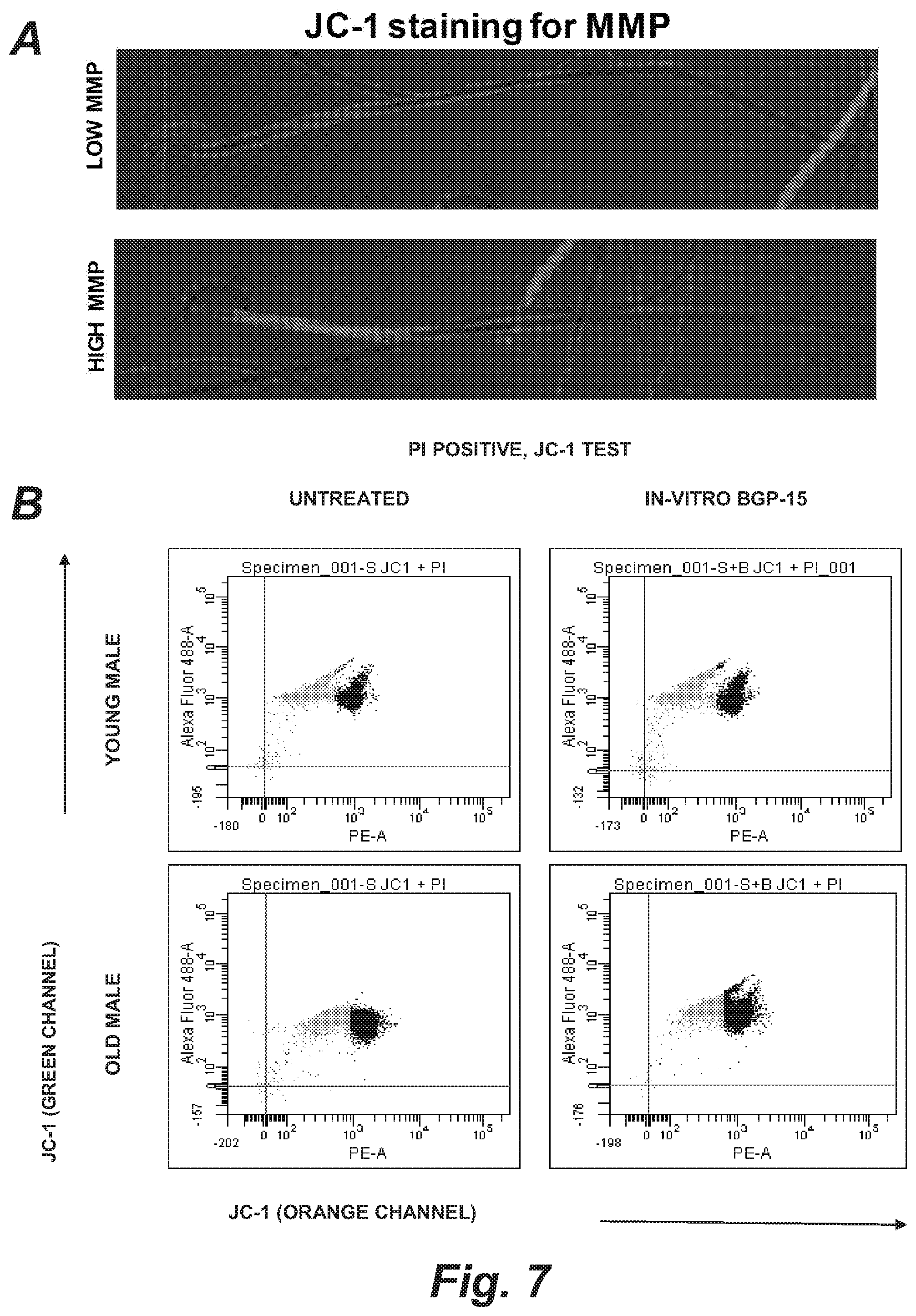 Patent US12508255 Figure 11 – Methods and products for improving sperm quality