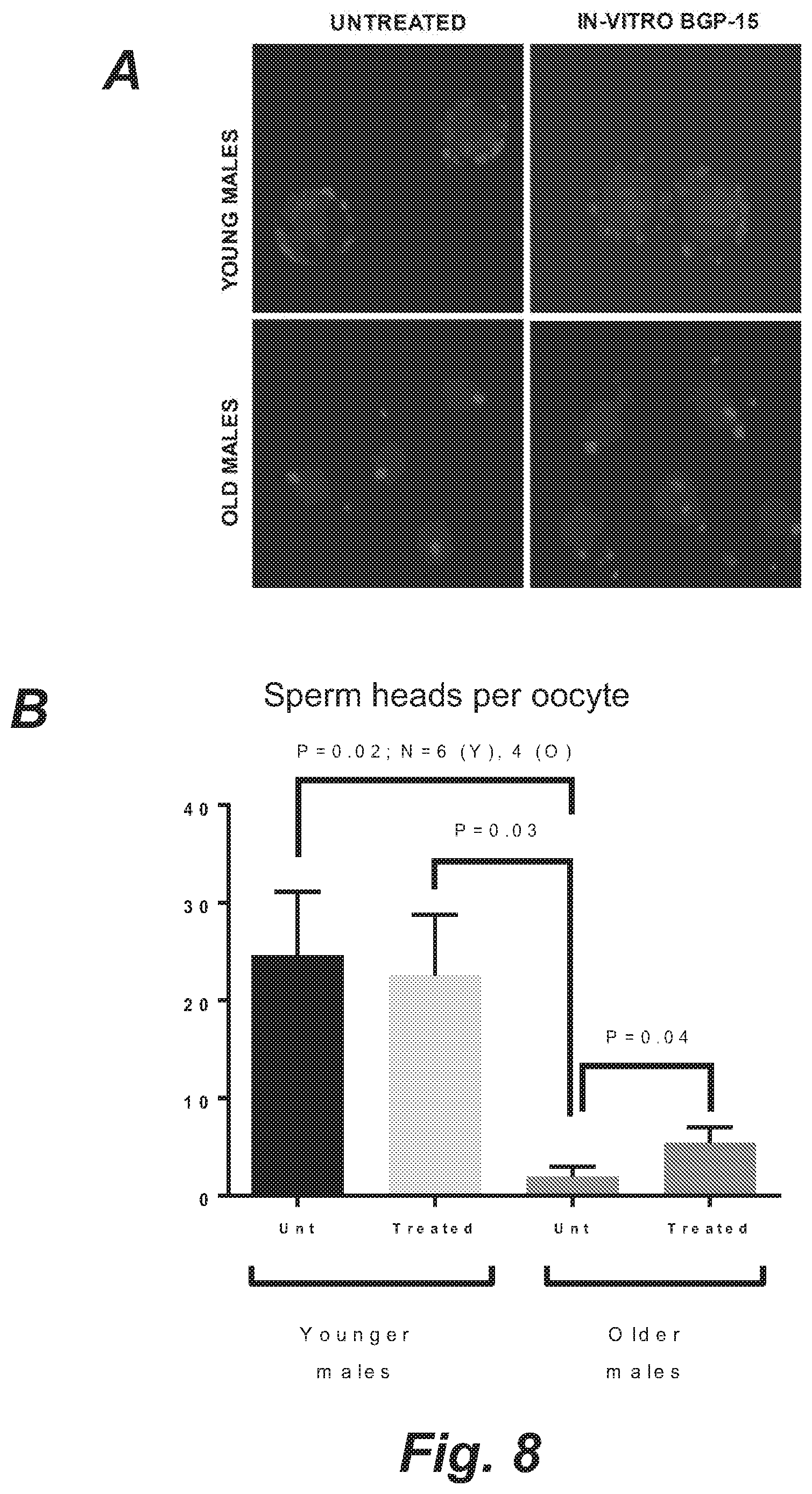 Patent US12508255 Figure 13 – Methods and products for improving sperm quality
