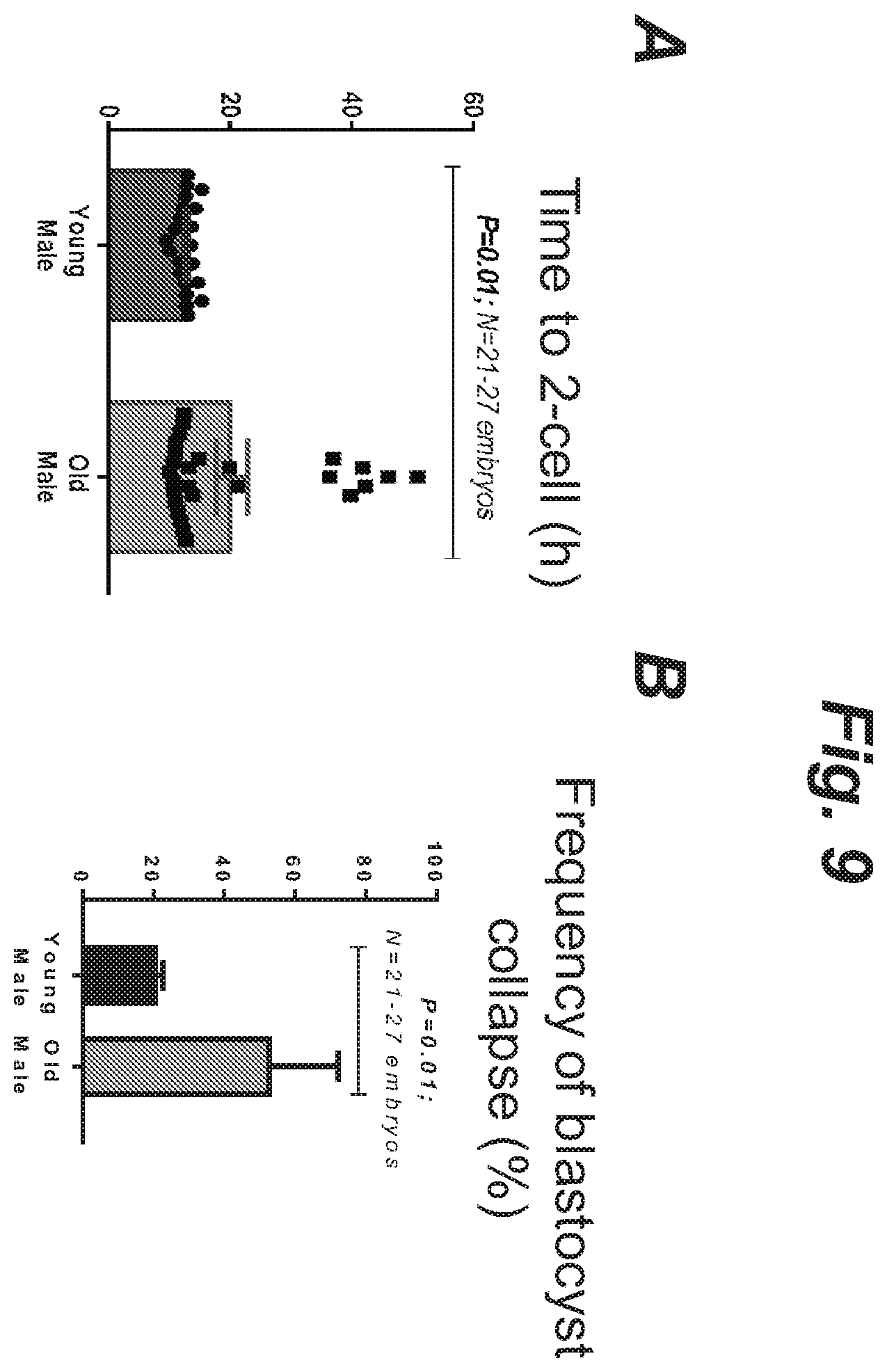 Patent US12508255 Figure 14 – Methods and products for improving sperm quality