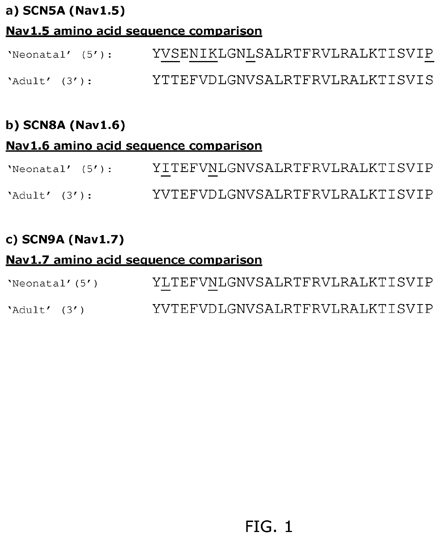 Patent US12508260 Figure 1 – Combination treatments