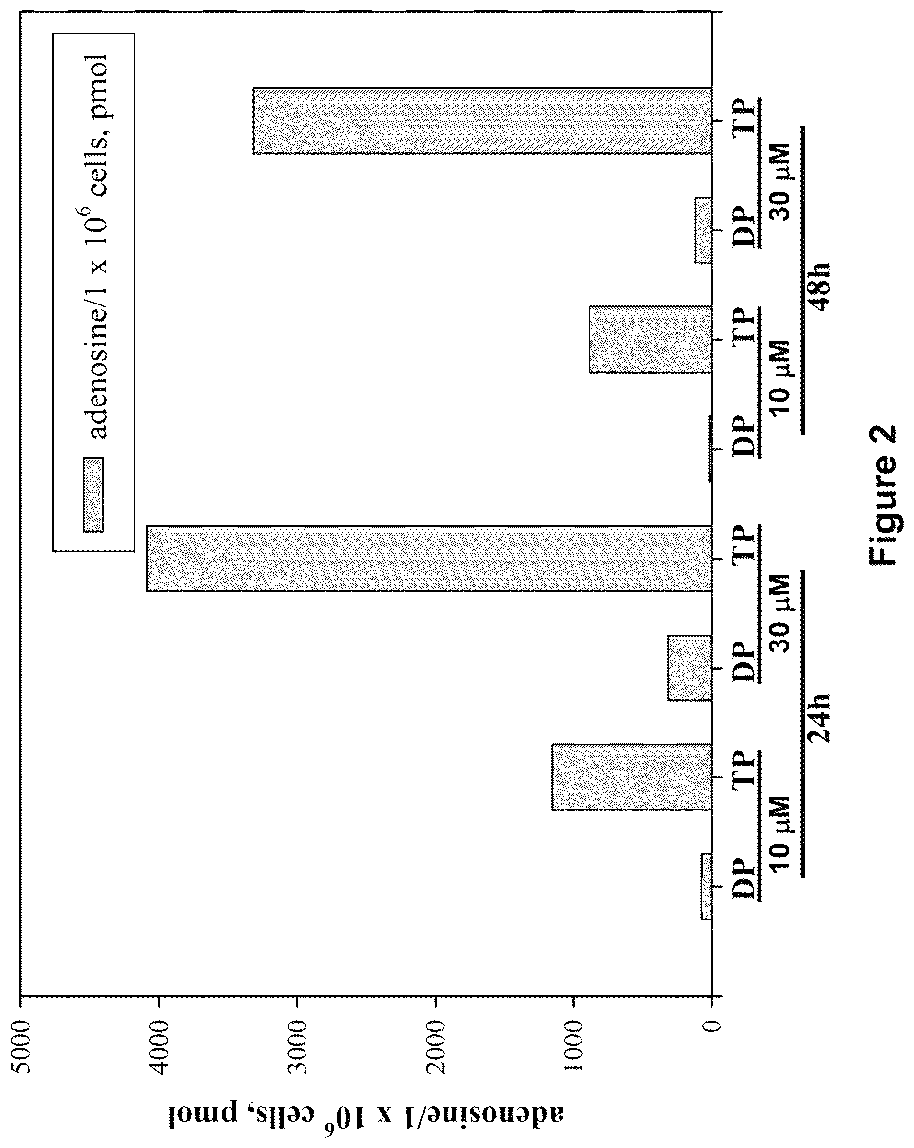 Patent US12508266 Figure 2 – Methods and compositions for inhibition of polymerase