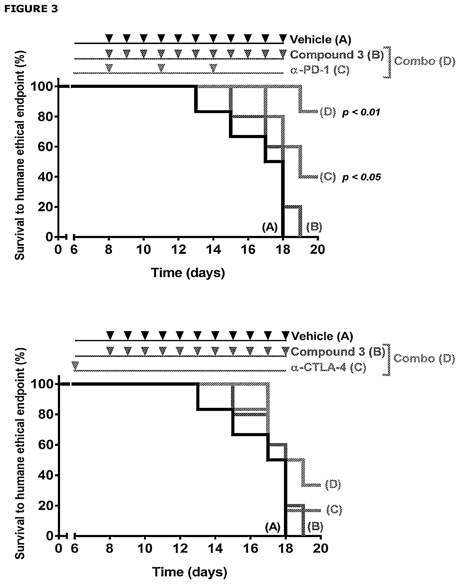 Patent US12508268 Figure 3 – Inhibitors of tryptophan dioxygenases (IDO1 and TDO) and their use in therapy