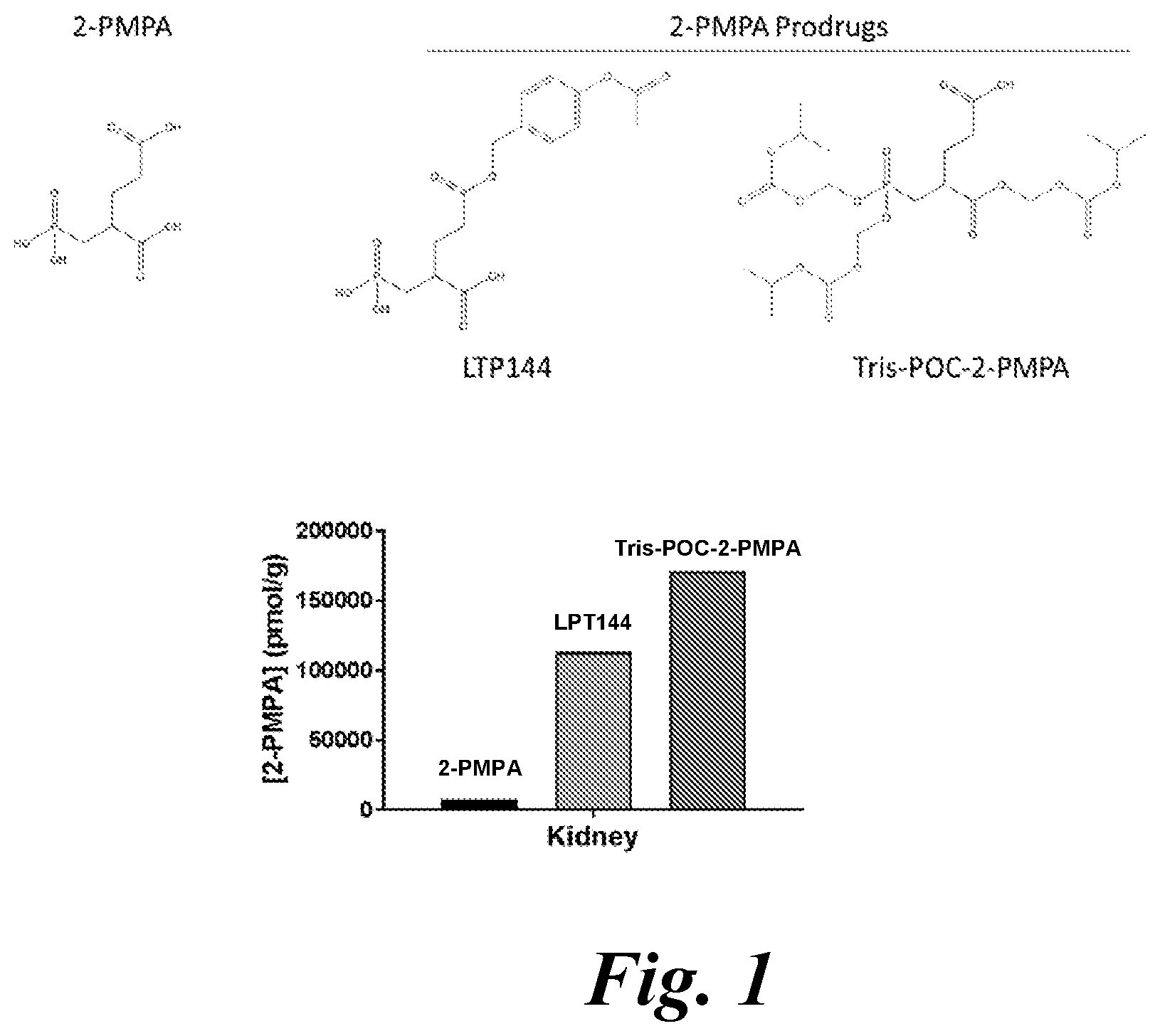 Patent US12508271 — Prodrugs of 2-PMPA for healthy tissue protection during PSMA-targeted cancer imaging or radiotherapy — Figure 1