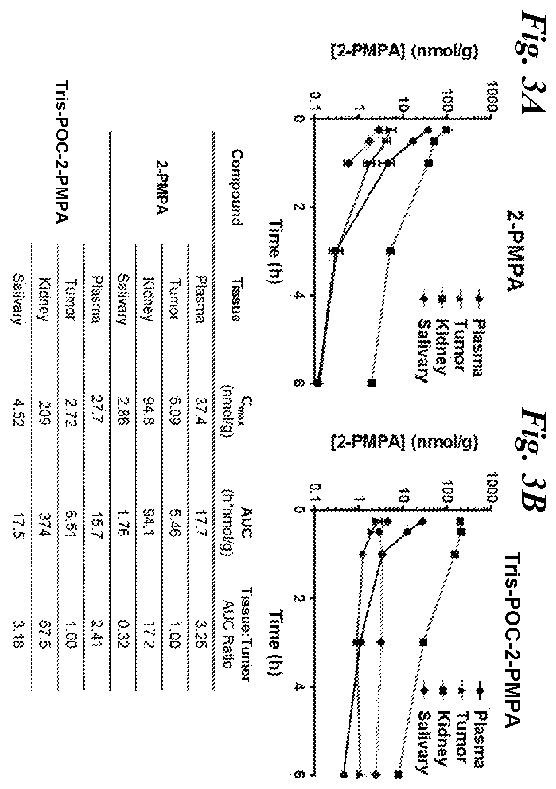 Patent US12508271 Figure 3 – Prodrugs of 2-PMPA for healthy tissue protection during PSMA-targeted cancer imaging or radiotherapy