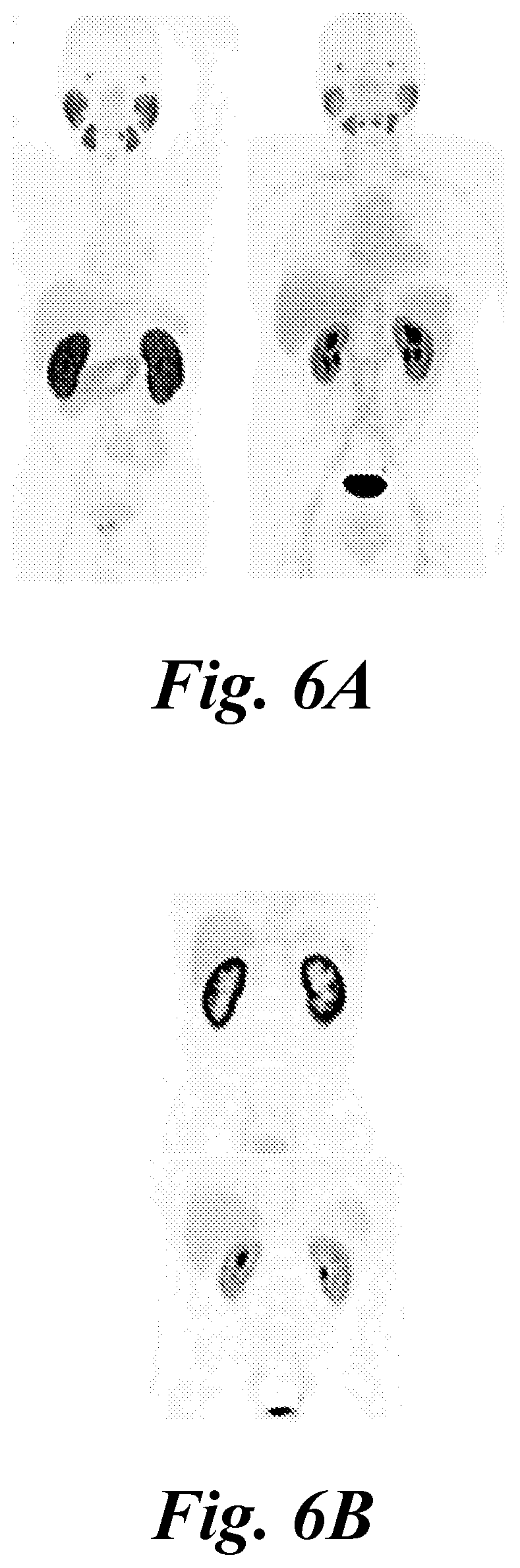 Patent US12508271 Figure 6 – Prodrugs of 2-PMPA for healthy tissue protection during PSMA-targeted cancer imaging or radiotherapy