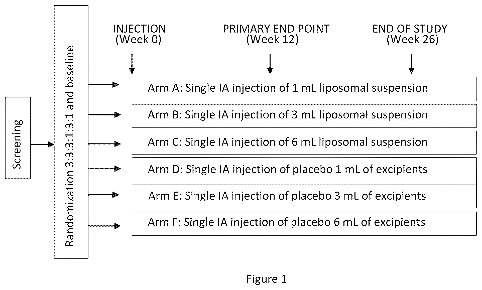 Patent US12508272 Figure 1 – Long-acting liposomal composition for treatment of pain in articular disorders