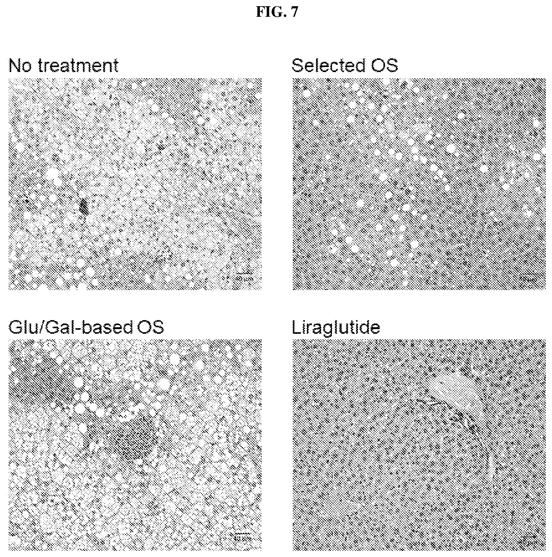 Patent US12508274 Figure 7 – Oligosaccharide compositions and methods of use