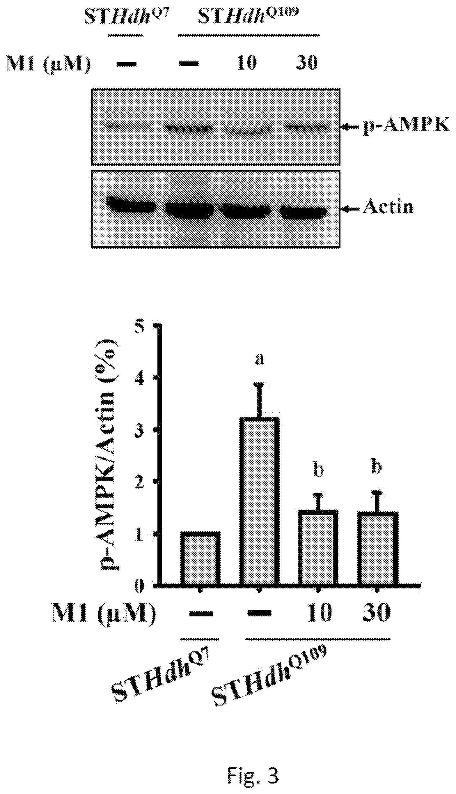 Patent US12508276 Figure 3 – Use of ginsenoside M1 for treating Huntington's disease