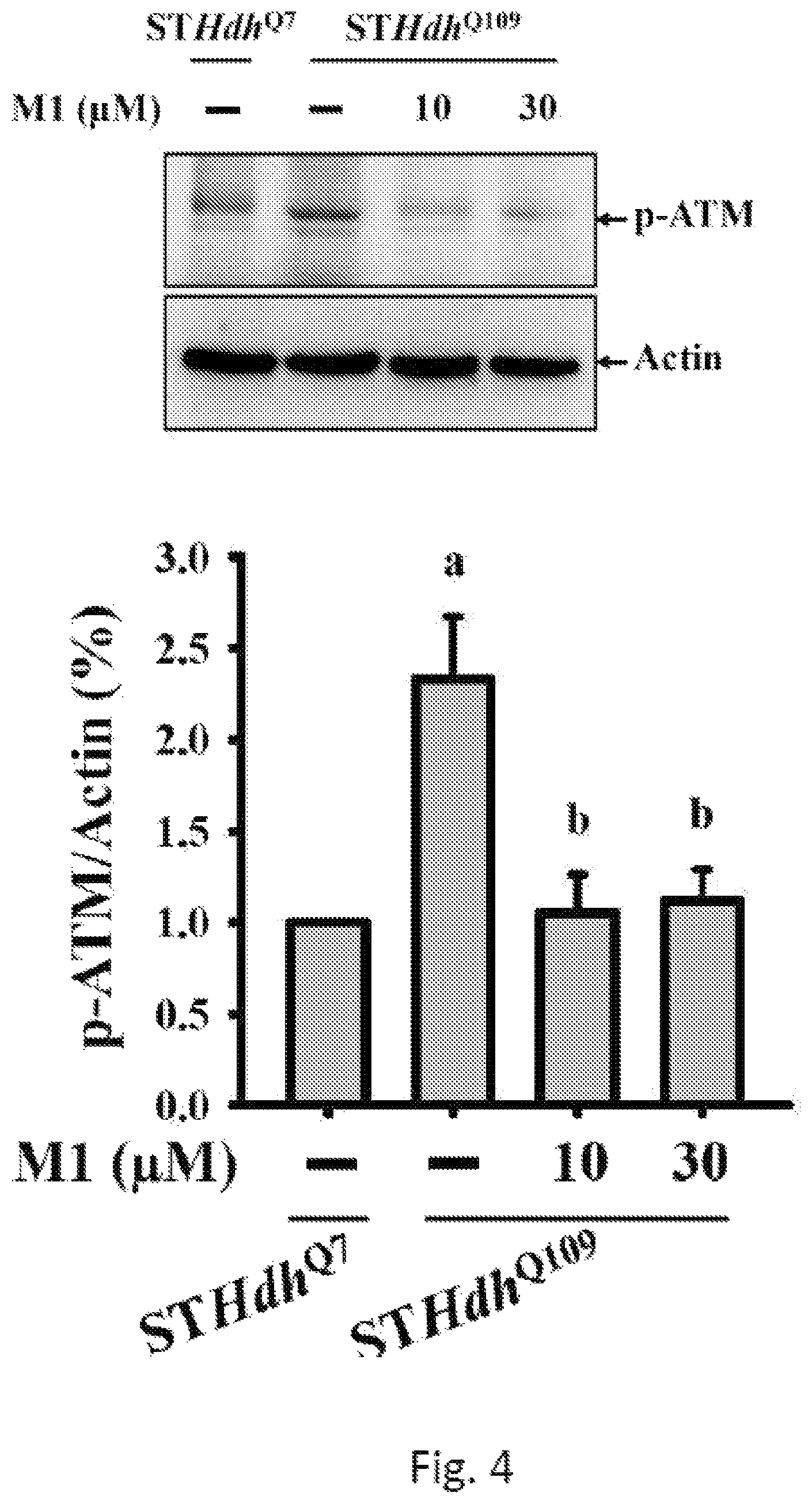 Patent US12508276 Figure 4 – Use of ginsenoside M1 for treating Huntington's disease