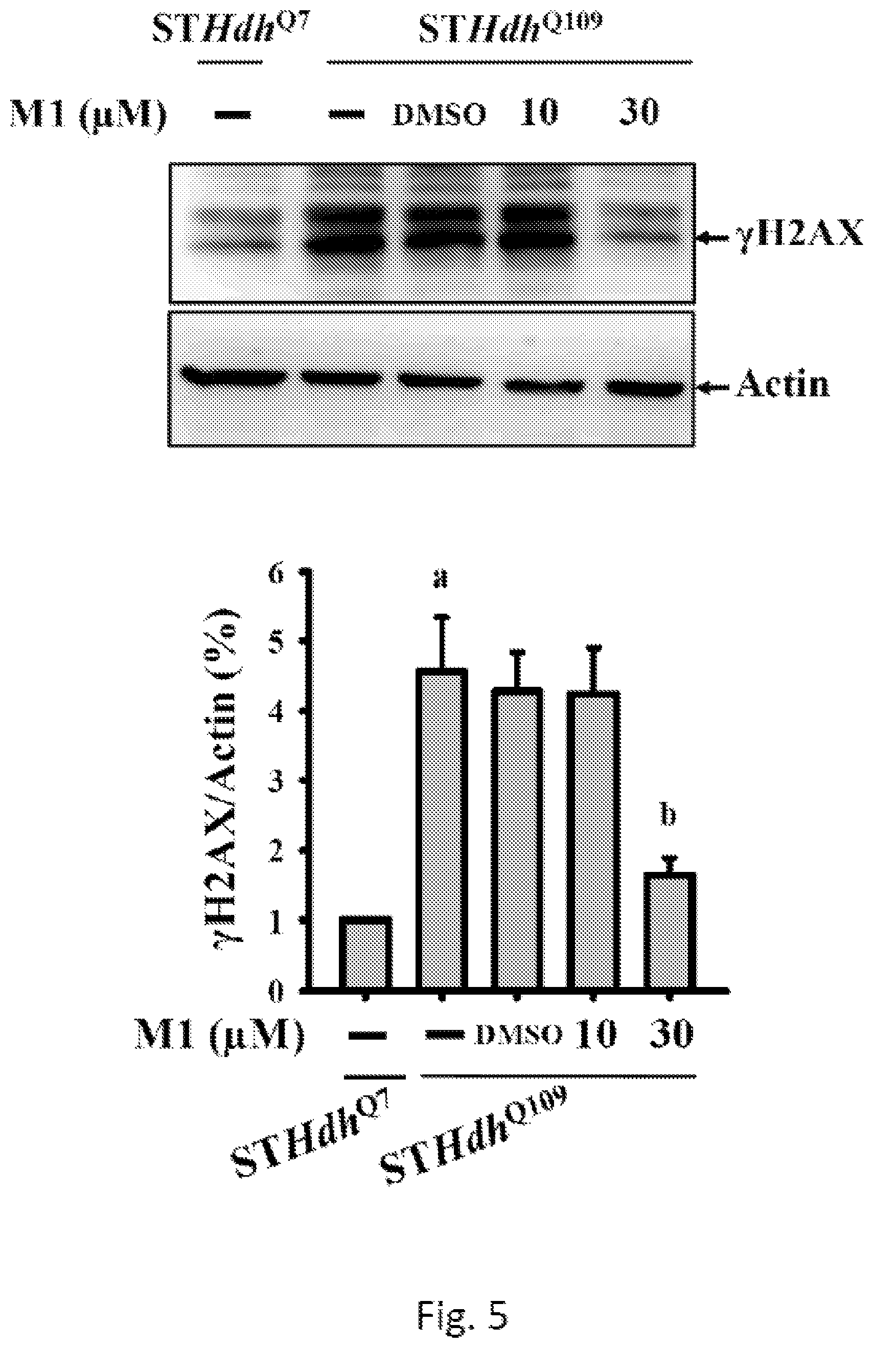 Patent US12508276 Figure 5 – Use of ginsenoside M1 for treating Huntington's disease