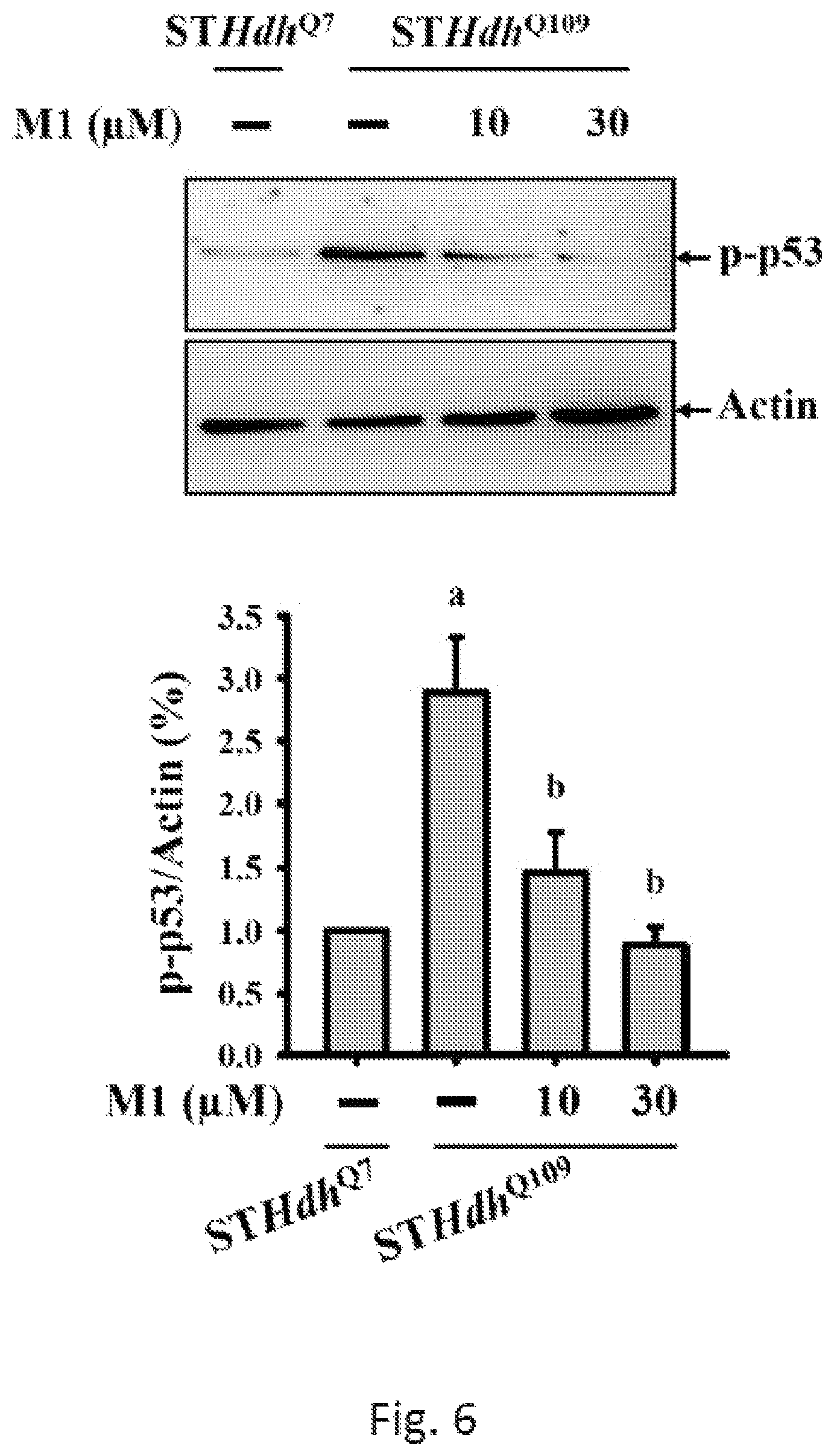 Patent US12508276 Figure 6 – Use of ginsenoside M1 for treating Huntington's disease