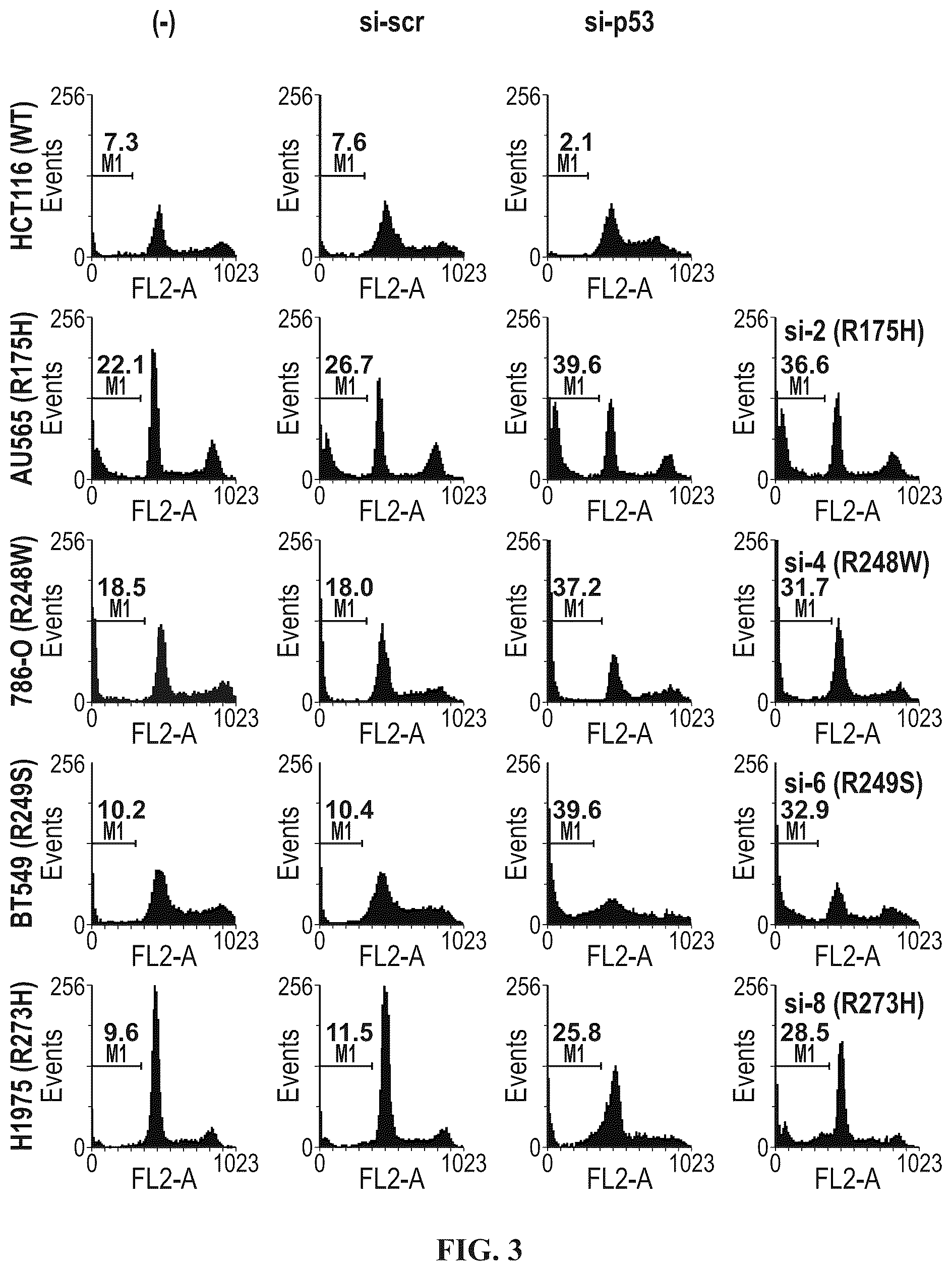 Patent US12508277 Figure 5 – Cancer therapeutic targeting using mutant P53-specific siRNAs