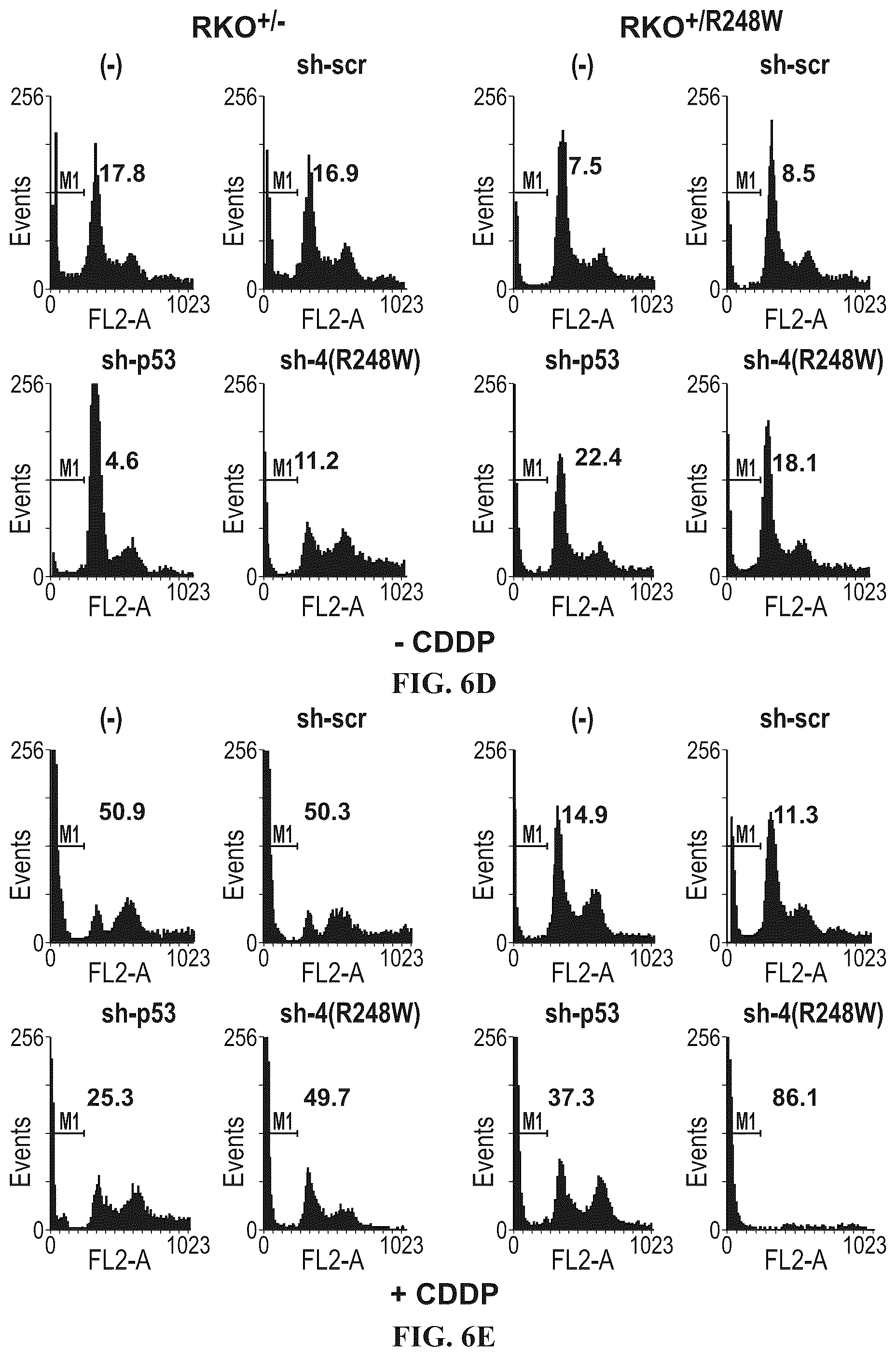 Patent US12508277 Figure 9 – Cancer therapeutic targeting using mutant P53-specific siRNAs