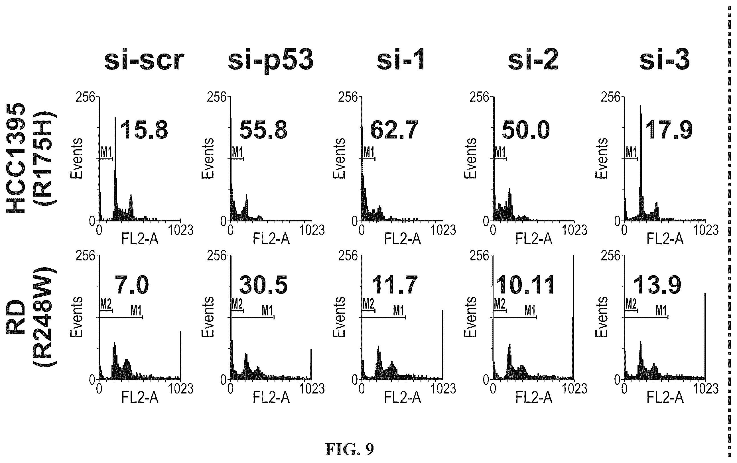 Patent US12508277 Figure 13 – Cancer therapeutic targeting using mutant P53-specific siRNAs