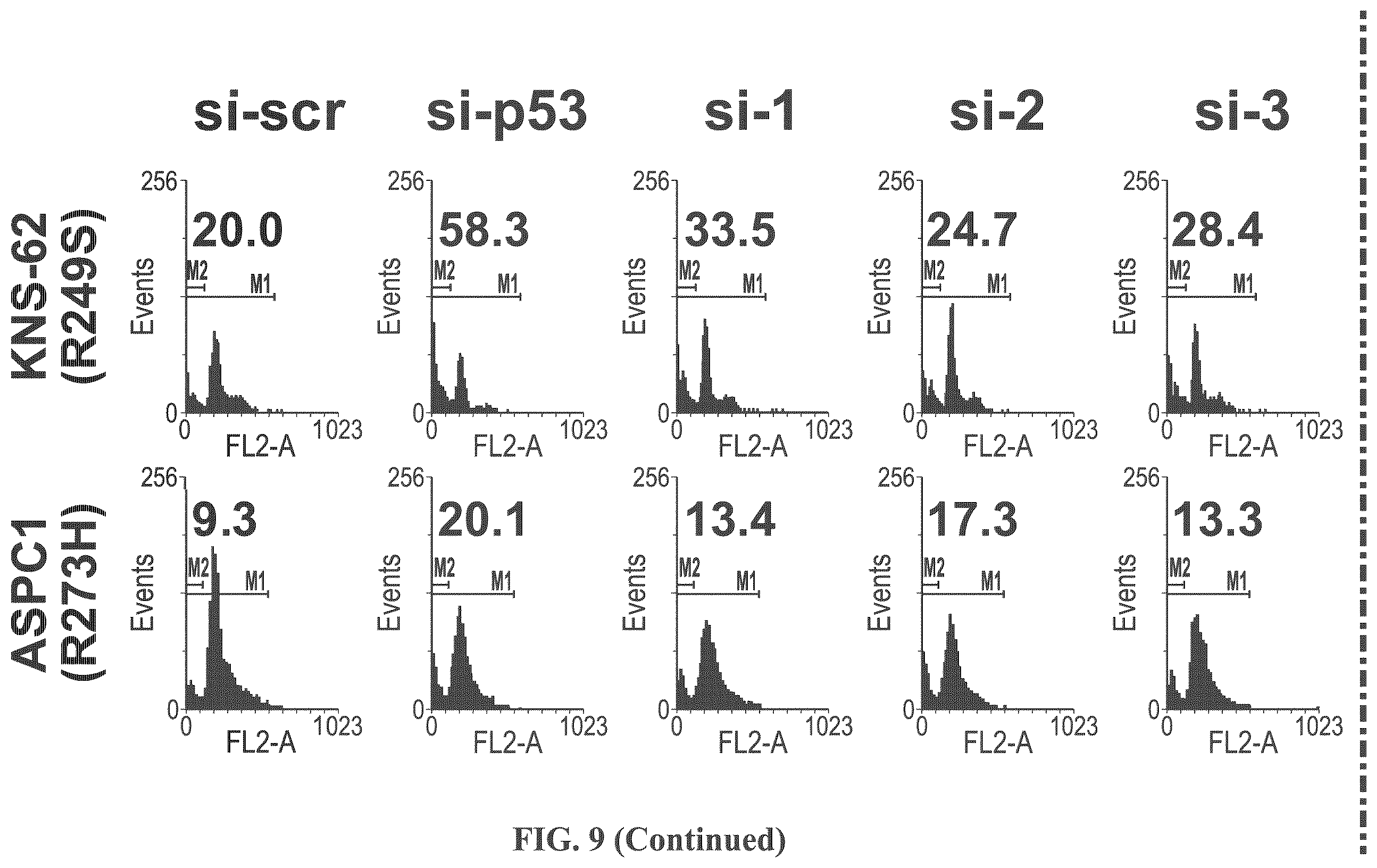 Patent US12508277 Figure 15 – Cancer therapeutic targeting using mutant P53-specific siRNAs