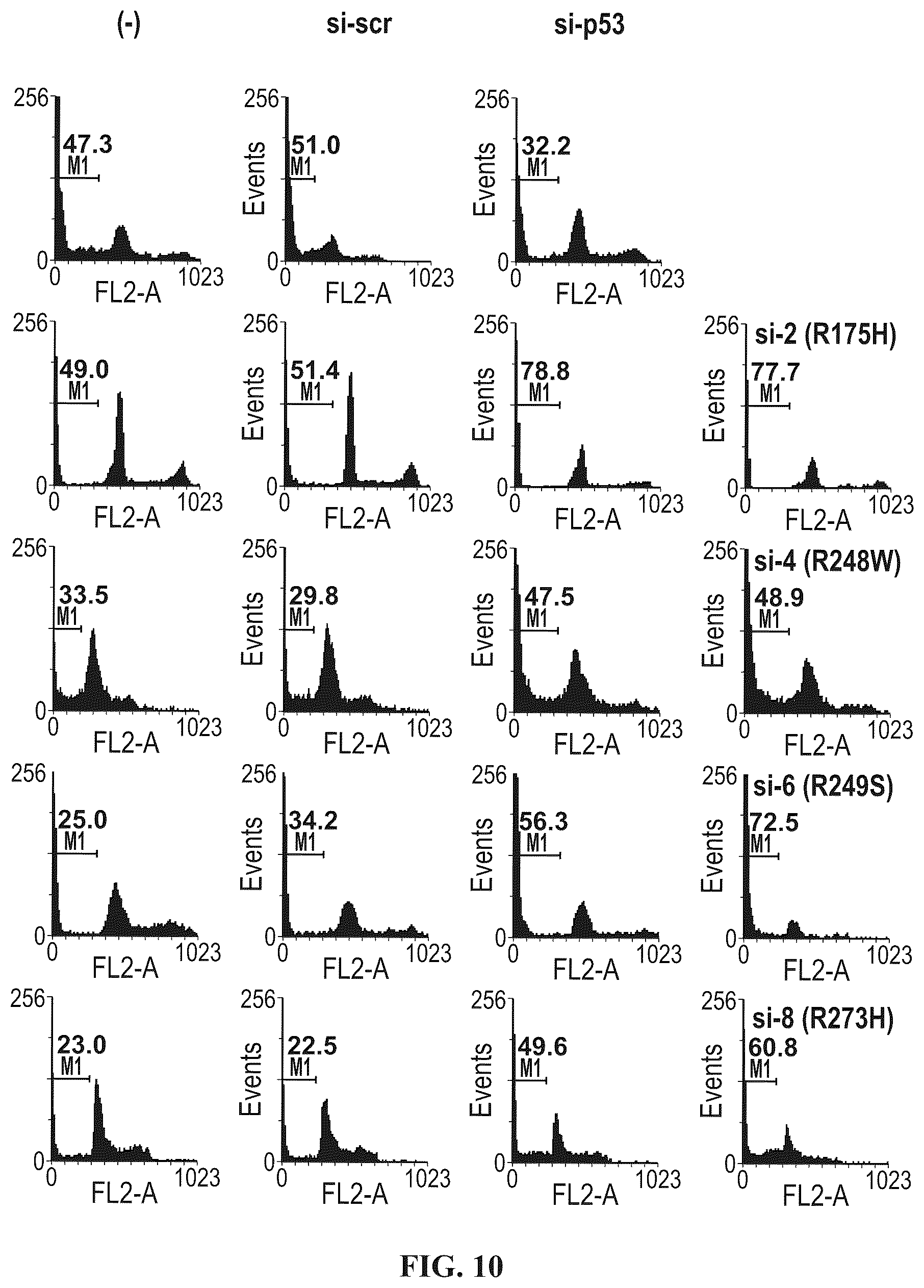 Patent US12508277 Figure 17 – Cancer therapeutic targeting using mutant P53-specific siRNAs
