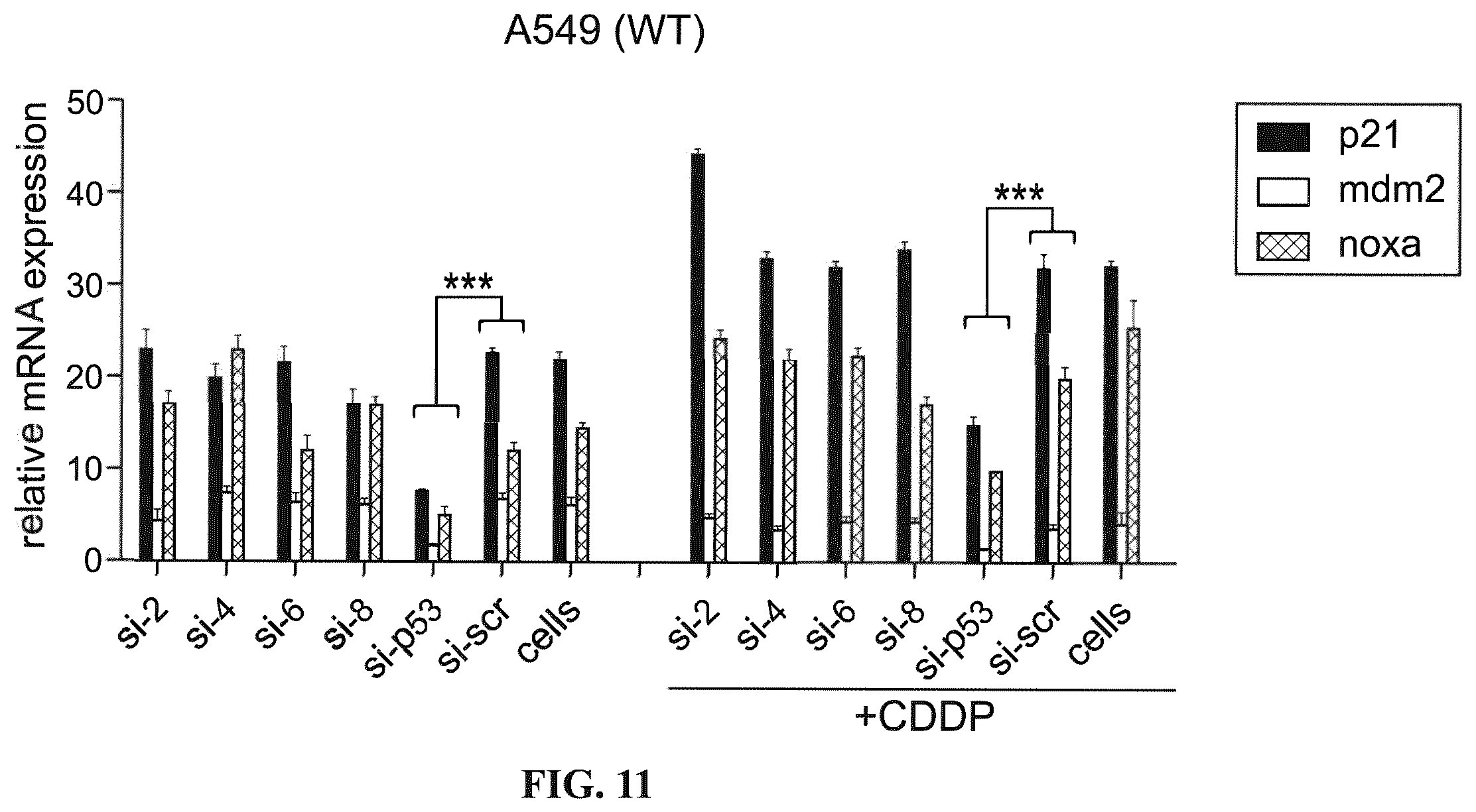 Patent US12508277 Figure 18 – Cancer therapeutic targeting using mutant P53-specific siRNAs