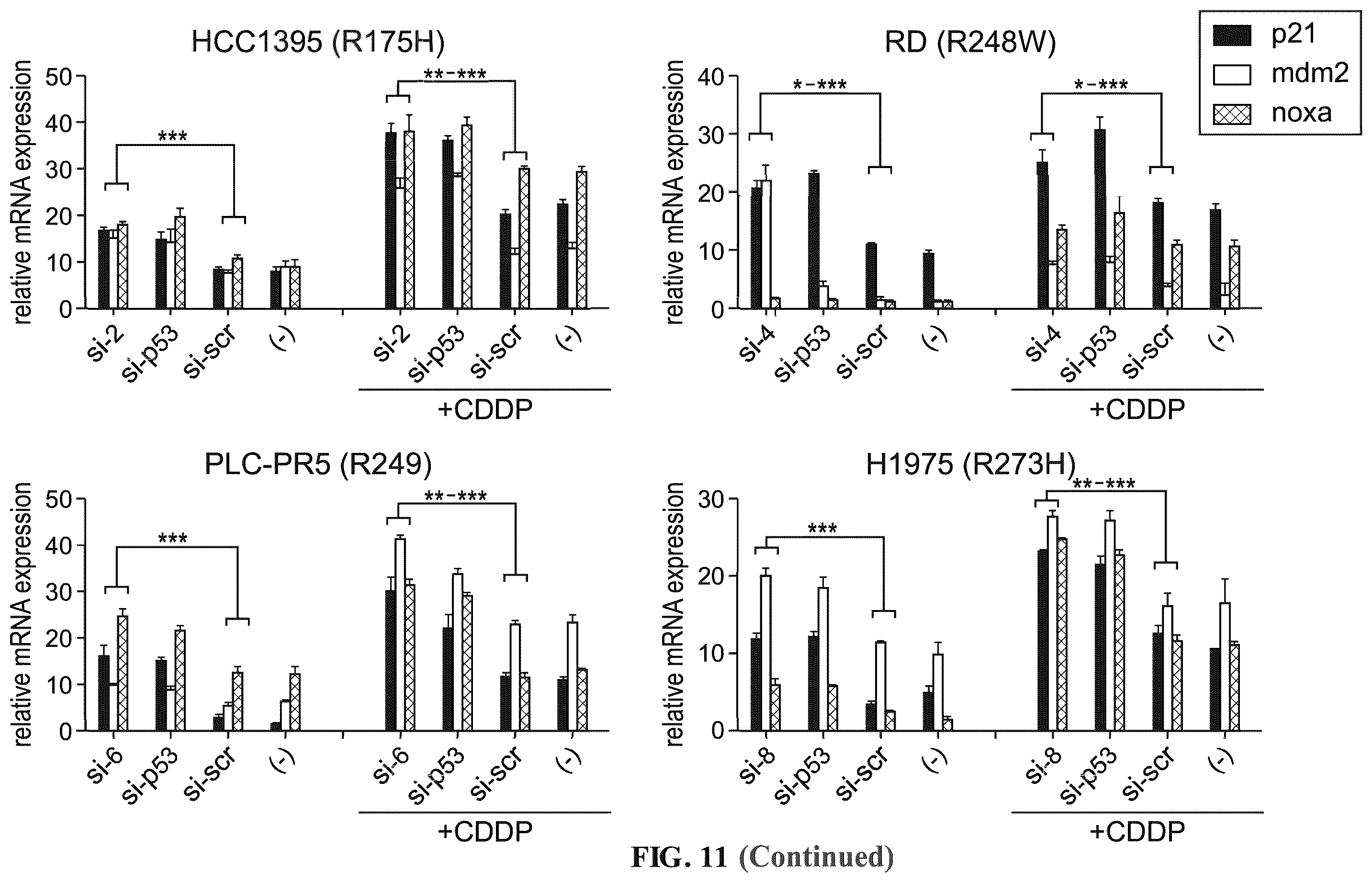 Patent US12508277 Figure 19 – Cancer therapeutic targeting using mutant P53-specific siRNAs