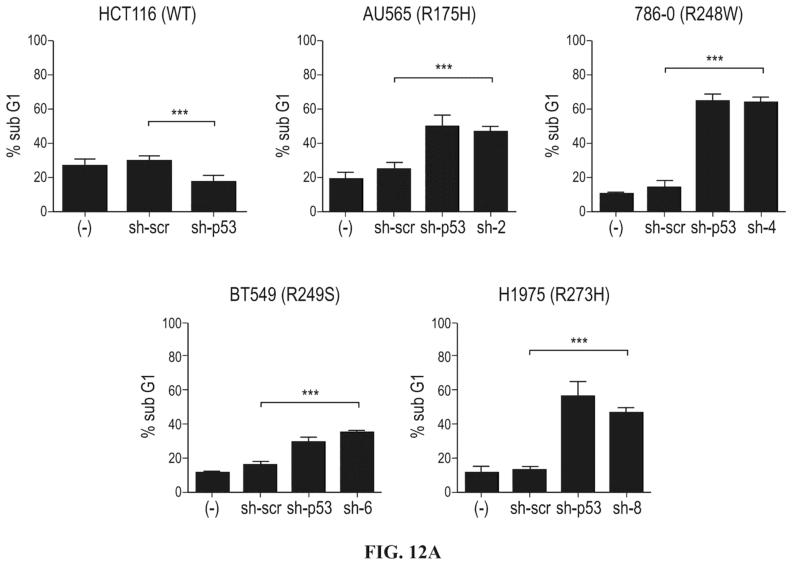 Patent US12508277 Figure 20 – Cancer therapeutic targeting using mutant P53-specific siRNAs