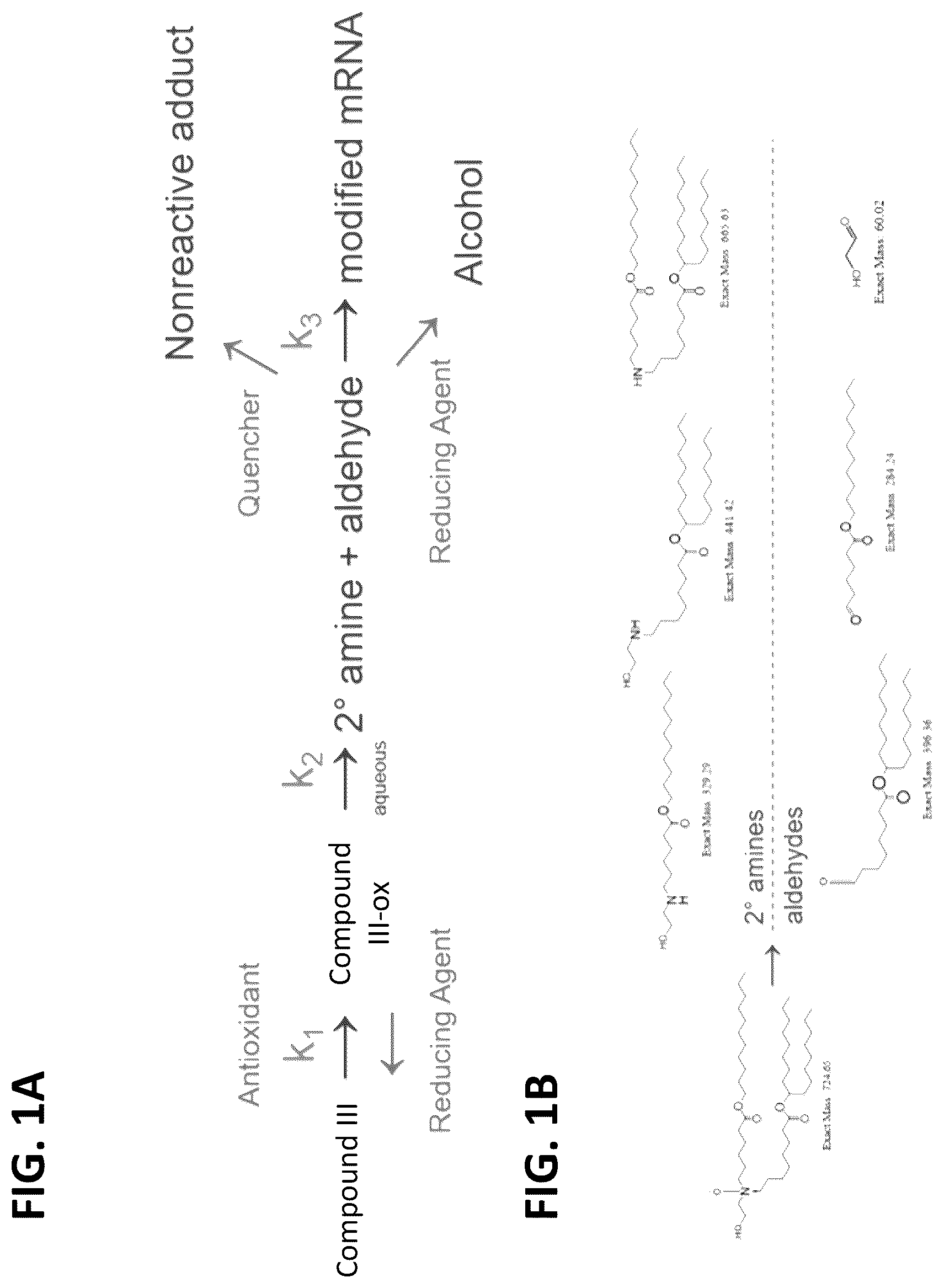 Patent US12508278 — Lipid nanoparticle compositions and methods of formulating the same — Figure 1