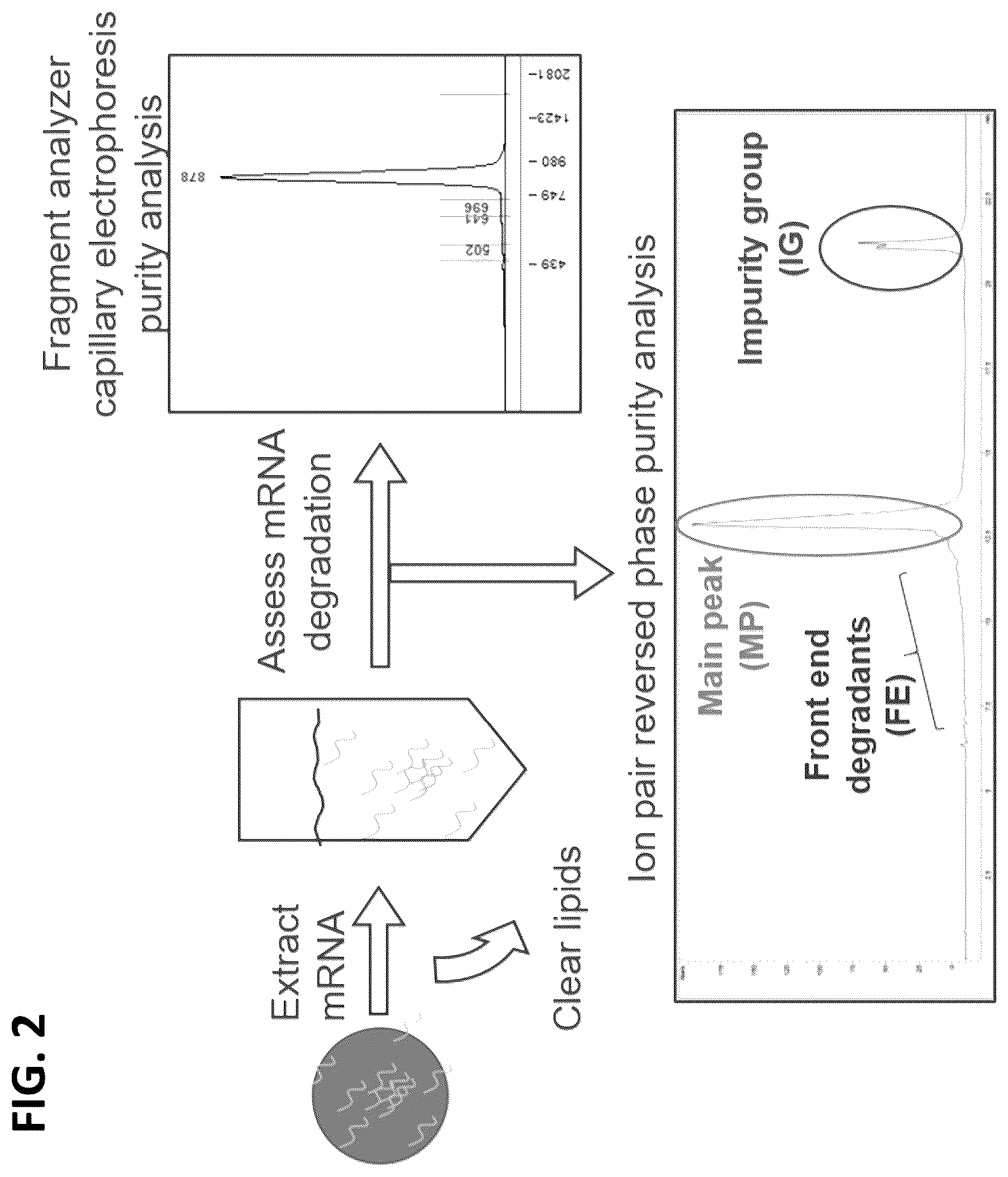 Patent US12508278 Figure 2 – Lipid nanoparticle compositions and methods of formulating the same